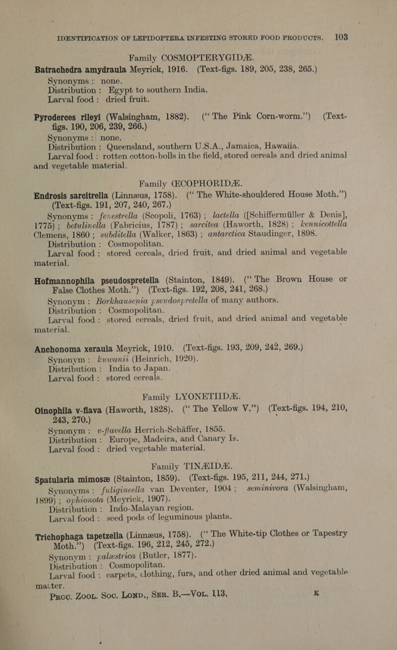 Family COSMOPTERYGIDAK. Batrachedra amydraula Meyrick, 1916. (Text-figs. 189, 205, 238, 265.) Synonyms: none. . Distribution : Egypt to southern India. Larval food: dried fruit. Pyroderees rileyi (Walsingham, 1882). (‘The Pink Corn-worm.’’) (‘Text- figs. 190, 206, 239, 266.) Synonyms: none. | Distribution : Queensland, southern U.S.A., Jamaica, Hawaiia. Larval food : rotten cotton-bolls in the field, stored cereals and dried animal and vegetable material. — Family GECOPHORIDAL. Endrosis sarcitrella (Linnzus, 1758). (‘“‘ The White-shouldered House Moth.’’) (Text-figs. 191; 207, 240, 267.) Synonyms : fexestrella (Scopoli, 1763) ; lactella ([Schiffermiller &amp; Denis], 1775); betulinella (Fabricius, 1787); sarcitea (Haworth, 1828) ; kennicottella Clemens, 1860; subditella (Walker, 1863) ; antarctica Staudinger, 1898. Distribution : Cosmopolitan. Larval food: stored cereals, dried fruit, and dried animal and vegetable material. Hofmannophila pseudospretella (Stainton, 1849). (‘The Brown House or False Clothes Moth.”) (Text-figs. 192, 208, 241, 268.) Synonym: Borkhausenia pseudospretella of many authors. Distribution : Cosmopolitan. Larval food: stored cereals, dried fruit, and dried animal and vegetable material. Anchonoma xeraula Meyrick, 1910. (Text-figs. 193, 209, 242, 269.) Synonym: kuwanie (Heinrich, 1920). Distribution : India to Japan. Larval food : stored cereals. Family LYONETIIDAL. Oinophila v-flava (Haworth, 1828). (“ The Yellow V.”) (Text-figs. 194, 210, 243, 270.) Synonym : v-flavella Herrich-Schiaffer, 1855. Distribution: Europe, Madeira, and Canary ls. Larval food: dried vegetable material. Family TINASIDAL. | Spatularia mimosz (Stainton, 1859). (Text-figs. 195, 211, 244, 271.) Synonyms: fuligineella van Deventer, 1904; seminivora (Walsingham, 1899) ; ophionota (Meyrick, 1907). Distribution : Indo-Malayan region. Larval food : seed pods of leguminous plants. Trichophaga tapetzella (Linnzus, 1758). (‘‘ The White-tip Clothes or Tapestry Moth.”) (Text-figs. 196, 212, 245, 272.) Synonym: palzstrica (Butler, 1877). Distribution : Cosmopolitan. Larval food : carpets, clothing, furs, and other dried animal and vegetable matter. Proc. Zoo. Soc. Lonp., SER. B.—Vot, 113, K