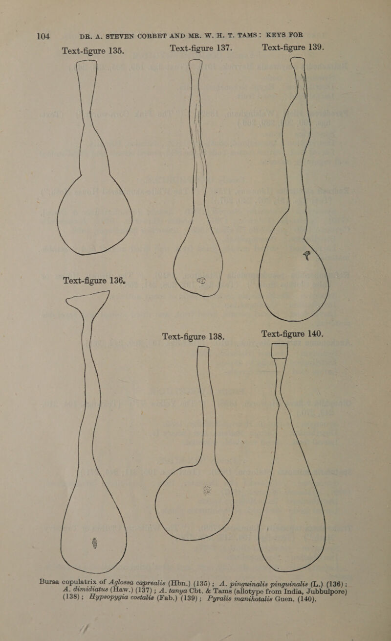 Text-figure 135. Text-figure 137. Text-figure 139. Text-figure 136,  Text-figure 138. Text-figure 140. Bursa copulatrix of Aglossa caprealis (Hbn.) (135); A. pinguinalis pinguinali epee ‘ ; A. pinguinalis pinguinalis (L.) (136) ; P . dimidiatus (Haw.) (137) ; A. tanya Cht. &amp; Tams (allotype trode India, Fab baaed| (138); Hypsopygia costalis (Fab.) (139); Pyralis manihotalis Guen. (140).