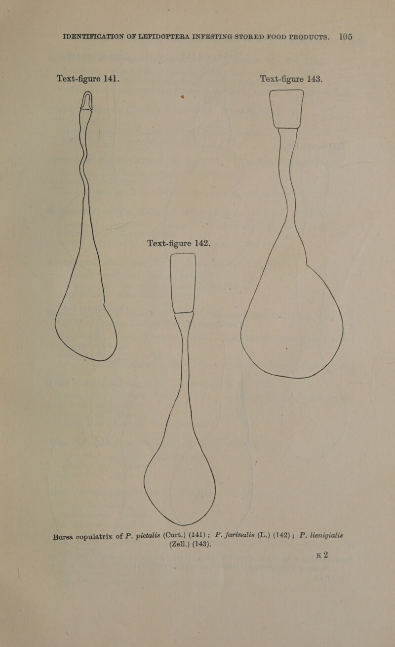 Text-figure 141. Text-figure 143. Text-figure 142.  Bursa copulatrix of P. pictalis (Curt.) (141); P. farinalis (L.) (142); P. lienigialis (Zell.) (143). K2