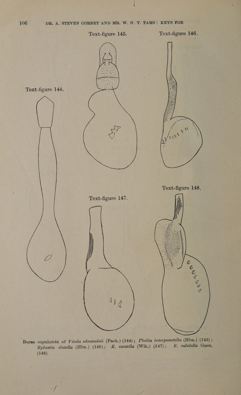 Text-figure 144.  Text-figure 148. Text-figure 147.  Bursa copulatrix of Vitula edmandsii (Pack.) (144); Plodia interpwnctella (Hbn.) (145) ; Ephestia elutella (Hbn.) (146); , cautella (Wlk.) (147); H. calidella Guen, (148).