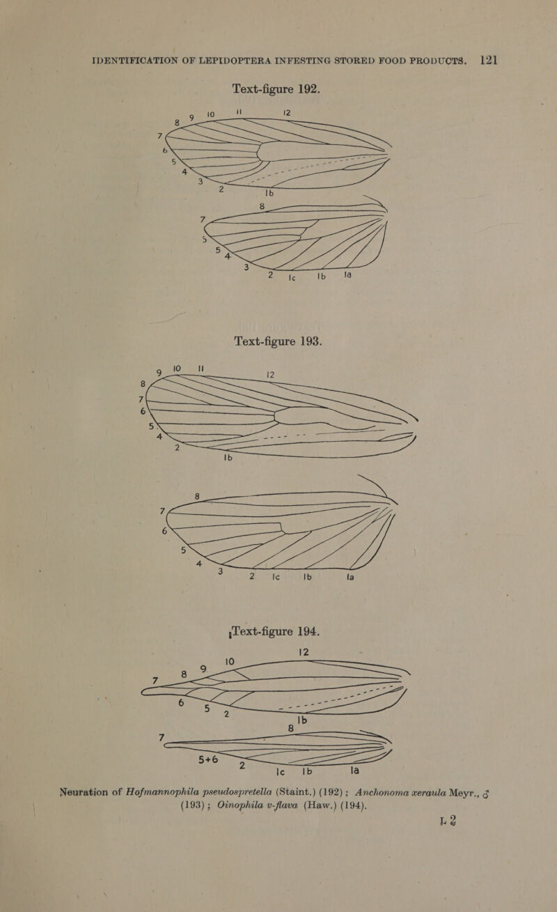  Text-figure 193. 4  ee  Neuration of Hofmannophila pseudospretella (Staint.) (192); Anchonoma xeraula Meyr., g (193) ; Ovmophila v-flava (Haw.) (194), LQ