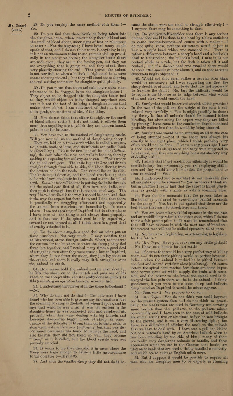 (cont.) bo es. . 29. Do you find that these cattle on being taken. into the slaughter-house, where presumably there is blood and the smell of blood about, show signs of fear or reluctance to enter ?—Not the slightest ; I have heard many people speak of that, and I do not think there is anything in it ; it is not an uncommon thing to see animals tied up practi- are wide open; they are in the fasting pen, but they can see everything that is going on, and they stand there very placidly chewing the cud. That proves the animal is not terrified, as when a bullock is frightened he at once ceases chewing the cud ; but they will stand there chewing the cud waiting their turn for slaughter quite placidly. 30.. Do you mean that these animals never show some reluctance to be dragged in to the slaughter-house ?— They object to be dragged into the slaughter-house just as they would object to being dragged anywhere else, but it is not the fact of its being a slaughter-house that makes them object, I am convinced of that; it is not, so to speak, the sentimental idea of the thing. 31. You do not think that either the sight or the smell of blood affects cattle ?—I do not think it affects them more than anything else to which they are unaccustomed, paint or tar for instance. — 32. You have told us the method of slaughtering cattle. Will you now tell us the method of slaughtering sheep ? —They are laid on a framework which is called a crutch, t.e.,a table made of laths, and their heads are pulled back so (describing.) This is the first bone of the spine (¢ndicat- ing), the man takes the nose and pulls it back so, thereby making this opening here aslargeashecan. That is where the spinal cord goes. The knife is put in here and driven straight through from side to side, the blood flowing from the bottom hole in the neck. The animal lies on its side. The knife is put down so, and the blood vessels cut ; then as he withdraws the knife he turns it and severs the spinal cord. Some butchers I believe in putting the knife through cut the spinal cord first of all, then turn the knife, and then push it through, but that is not the usual way. The ~way I have described is the way it should be done, and that is the way the expert butchers do it, and I find that there is practically no struggling afterwards and apparently tke animal loses consciousness immediately. In some places—I am not speaking of Deptford but in other places I have been at—the thing is not always done properly, and in that case, if the spinal cord is only imperfectly ‘severed or not severed at all I think there is a good deal of cruelty attached to it. 33. Do the sheep struggle a good deal on being put on ‘these crutches ?—Not very much. J may mention that _at Birkenhead, at the Foreign Animals’ Wharf, there it was the custom for the butchers to fetter the sheep ; they tied ‘three feet together, and I noticed many times a good deal of struggling even after they were stuck ; but at Deptford, where they do not fetter the sheep, they just lay them on the crutch, and there is really very little struggling after the animal is stuck. 34. How many hold the animal ?—One man does it; he lifts the sheep on to the crutch and puts one of his knees on the sheep’s side, and it is really done as quickly as this (indicating an operation lasting a second or two). 35. I understand they never stun the sheep beforehand ? —No, 36. Why do they not do that ?—The only man I have found who has been able to zive me any information about the stunning of sheep is Nicholls, of whom I spoke, and he says that when he was a lad it was the custom in the slaughter-house he was connected with and employed at, probably when they were dealing with big Lincoln and Leicester sheep—the bigger breeds of sheep—in conse- quence of the difficulty of lifting them on to the crutch, to stun them with a blow here (indicating) but that was dis- continued because it was found to damage the head, and also because they did not bleed so well, they become “‘ firey,” as it is called, and the blood vessels were not properly emptied. 37. It seems to me that they,did it in cases where the Sheep were large enough to cause a little inconvenience to the operator ?—That is so, I suy pose there may be something in that. 39. Do you yourself consider that there is any serious damage that could be done to the head by a blow sufficient to cause unconsciousness—of course with a mallet ?—I do not quite know, perhaps customers would object to buy a sheep’s head which was smashed in. There is rather a difference between a sheep’s head and a bullock’s head to a customer; the bullock’s head, I take it, is not cooked whole as a rule, but the flesh is taken off it and cooked ; and if a sheep’s head was smashed there would be some little spicule of bone about it, and on that account customers might object to it. 40. Would not that mean rather a heavier blow than would be necessary; all I was suggesting was that the sheep should be stunned, and to do that it is not necessary to fracture the skull ?—No, but the difficulty would be to regulate the blow so as to judge between what would stun and what would smash the head. 41. Surely that would be arrived at with a little practice? In the case of the poll-axe the weight of the blow is cal- culated very carefully ?—Yes, it might possibly be done ; my theory is that all animals should be stunned before bleeding, but after seeing the expert way they are killed by pithing I have come to the conclusion that the animal probably suffers less than he would by being stunned. 42, Surely there would be no suffering at all in the case of being stunned ?—Not if the sheep was always hit exactly in the right place, which I think probably very often would not be done. I know many years ago I saw a good many pigs slaughtered and they were supposed to be stunned, and that was anything but a satisfactory way of dealing with it. 43, I admit that if not carried out efficiently it would be unsatisfactory, but presumably you are employing skilful men and they would know how to deal the proper blow to stun an animal ?—Yes. 44. T understood you to say that it was desirable that all animals should be stunned ?—Yes, in theory I think so, but in practice I really find that the sheep is killed practi- cally as quickly with a knife as with a stunning blow. 45. Even the few moments that the process takes as illustrated by you must be exceedingly painful moments for the sheep ?—Yes, but to put against that there are the foul blows that may be struck here and there. 46. You are presuming a skilful operator in the one case and an unskilful operator in the other case, which I do not think a fair presumption ?—It must be remembered that that will have to come in with the next race of butchers ; the present race will not be skilled operators all at once. 47. No, but we are legislating, or attempting to legislate, for the future ? 48. (Mr. Cope.) Have you ever seen any cattle pithed ? —No, I have seen horses, but not cattle. 49. Of course that would be a very perfect way of killing them ?—I do not think pithing would be perfect because I believe when the animal is pithed he is pithed between the first and second vertebre there (indicating). Of course before the spinal cord reaches here there are some impor- tant nerves given off which supply the brain with sensa- tion, and the nearer to the brain the spinal cord is de- stroyed the less pain there will be to the animal. I think, gentlemen, if you were to see some sheep and bullocks slaughtered at Deptford it would be advantageous. 50. (Chairman.) We propose to do so. 51. (Mr. Cope.) You do not think you could improve on the present system then ?—I do not think so practi- cally ; the masks that are used in Germany are certainly more perfect than the poll-axe, as the poll-axe misses occasionally and I have seen in the case of wild bullocks an animal struck five or six times before he was brought to the ground, and it was a very distressing sight; but there is a difficulty of affixing the mask to the animals that we have to deal with. I have seen a poll-axe kicked out of a butcher’s hand by an American bullock when he has been standing by the side of him; many of them are really very dangerous animals to handle, and these appliances which we see in the German text books, are used on animals that are used to‘being handled constantly, and which are as quiet as English milch cows. 52. But I suppose it would be possible to require all men who are slaughter men to be experts in stunning