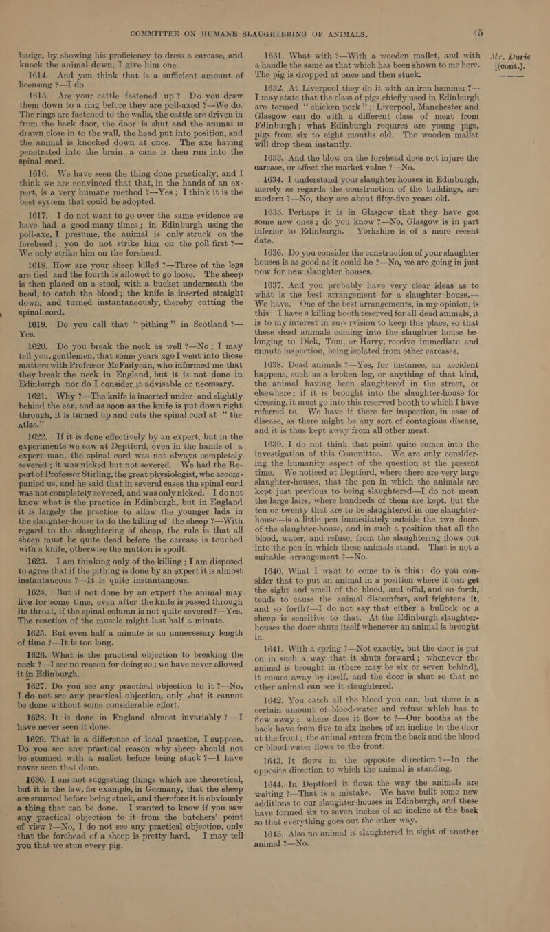badge, by showing his proficiency to dress a carcase, and knock the animal down, I give him one. 1614. And you think that is a sufficient amount of licensing ?—I do. 1615. Are your cattle fastened up? Do you draw them down to a ring before they are poll-axed ?—We do. ‘The rings are fastened to the walls, the cattle are driven in from the back door, the door is shut and the animal 1s ‘drawn close in to the wall, the head put into position, and the animal is knocked down at once. The axe having penetrated into the brain a cane is then run into the spinal cord. 1616. We have seen the thing done practically, and I think we are convinced that that, in the hands of an ex- pert, is a very humane method ?—Yes ; I think it is the best system that could be adopted. 1617. Ido not want to go over the same evidence we have had a good many times; in Edinburgh using the poll-axe, I presume, the animal is only struck on the forehead ; you do not strike him on the poll first ?— We only strike him on the forehead. 1618. How are your sheep killed ?—Three of the legs are tied and the fourth is allowed to go loose. The sheep is then placed on a stool, with a bucket underneath the head, to catch the blood; the knife is inserted straight down, and turned instantaneously, thereby cutting the spinal cord. 1619. Do you call that “ pithing” in Scotland ?— ‘Yes. 1620. Do you break the neck as well ?—No; I may tell you, gentlemen, that some years ago I went into those matters with Professor McFadyean, who informed me that they break the neck in England, but it is not done in Edinburgh nor do I consider it advisable or necessary. 1621. Why ?—The knife is inserted under and slightly behind the ear, and as soon as the knife is put down right through, it is turned up and cuts the spinal cord at “ the atlas.” 1622. If it is done effectively by an expert, but in the experiments we saw at Deptford, even in the hands of a expert man, the spinal cord was not always completely severed ; it was nicked but not severed. We had the Re- portof Professor Stirling, the great physiologist, who accom- panied us, and he said that in several cases the spinal cord was not completely severed, and was only nicked. I donot know what is the practice in Edinburgh, but in England it is largely the practice to allow the younger lads in the slaughter-house to do the killing of the sheep ?—With regard to the slaughtering of sheep, the rule is that all sheep must be quite dead before the carcase is touched with a knife, otherwise the mutton is spoilt. 1623. Iam thinking only of the killing ; I am disposed to agree that if the pithing is done by an expert it is almost instantaneous ?—It is quite instantaneous. 1624. But if not done by an expert the animal may live for some time, even after the knife is passed through _ its throat, if the spinal column is not quite severed?—Yes, The reaction of the muscle might last half a minute. 1625. But even half a minute is an unnecessary length of time ?—It is too long. 1626. What is the practical objection to breaking the neck ?—I see no reason for doing so ; we have never allowed it in Edinburgh. 1627. Do you see any practical objection to it ?—No, I do not see any practical objection, only chat it cannot be done without some considerable effort. 1628. It is done in England almost invariably ?— I have never seen it done. 1629. That is a difference of local practice, I suppose. Do you see any practical reason why sheep should not be stunned with a mallet before being stuck 7—I have never seen that done. 1630. I am not suggesting things which are theoretical, but it is the law, for example, in Germany, that the sheep are stunned before being stuck, and therefore it is obviously a thing that can be done. I wanted to know if you saw any practical objection to it from the butchers’ point of view ?—No, I do not see any practical objection, only that the forehead of a sheep is pretty hard. I may tell you that we stun every pig. ~ 49 1631. What with ?—With a wooden mallet, and with a handle the same as that which has been shown to me here. The pig is dropped at once and then stuck. 1632. At Liverpool they do it with an iron hammer ?— I may state that the class of pigs chiefly used in Edinburgh are termed ‘ chicken pork”; Liverpool, Manchester and Glasgow can do with a different class of meat from I'dinburgh ; what Edinburgh requires are young pigs, pigs from six to eight months old. The wooden mallet will drop them instantly. 1683. And the blow on the forehead does not injure the earcase, or affect the market value ?—No. 1634. I understand your slaughter houses in Edinburgh, merely as regards the construction of the buildings, are modern ?—No, they are about fifty-five years old. 1635. Perhaps it is in Glasgow that they have got some new ones; do you know ?—No, Glasgow is in part inferior to Edinburgh. Yorkshire is of a more recent date. 1636. Do you consider the construction of your slaughter houses is as good as it could be ?—No, we are going in just now for new slaughter houses. 1637. And you probably have very clear ideas as to what is the best arrangement for a slaughter house.— We have. One of the best arrangements, in my opinion, is this: I have a killing booth reserved for all dead animals, it is to my interest in sup rvision to keep this place, so that these dead animals coming into the slaughter house be- longing to Dick, Tom, or Harry, receive immediate and minute inspection, being isolated from other carcases. 1638. Dead animals 7—Yes, for instance, an accident happens, such as a broken leg, or anything of that kind, the animal having been slaughtered in the street, or elsewhere; if it is brought into the slaughter-house for dressing, it must go into this reserved booth to which I have referred to. We have it there for inspection, in case of disease, as there might be any sort of contagious disease, and it is thus kept away from all other meat. 1639. I do not think that point quite comes into the investigation of this Committee. We are only consider- ing the humanity aspect of the question at the present time. We noticed at Deptford, where there are very large slaughter-houses, that the pen in which the animals are kept just previous to being slaughtered—I do not mean the large lairs, where hundreds of them are kept, but the ten or twenty that are to be slaughtered in one slaughter- house—is a little pen immediately outside the two doors of the slaughter-house, and in such a position that all the blood, water, and refuse, from the slaughtering flows out into the pen in which these animals stand. That is nota suitable arrangement ?—No. 1640. What I want to come to is this: do you con- sider that to put an animal in a position where it can get the sight and smell of the blood, and offal, and so forth, tends to cause the animal discomfort, and frightens it, and so forth?—I do not say that either a bullock or a sheep is sensitive to that. At the Edinburgh slaughter- houses the door shuts itself whenever an animal is brought in. 1641. With a spring ?—Not exactly, but the door is put on in such a way that it shuts forward; whenever the animal is brought in (there may be six or seven behind), it comes away by itself, and the door is shut so that no other animal can see it slaughtered. 1642. You catch all the blood you can, but there is a certain amount of blood-water and refuse which has to flow away; where does it flow to ?—Our booths at the back have from five to six inches of an incline to the door at the front; the animal enters from the back and the blood or blood-water flows to the front. 1643. It flows in the opposite direction ?—In the opposite direction to which the animal is standing. 1644. In Deptford it flows the way the animals are waiting ?—That is a mistake. We have built some new additions to our slaughter-houses in Edinburgh, and these have formed six to seven inches of an incline at the back so that everything goes out the other way. 1645. Also no animal! is slaughtered in sight of another animal ?—No. Mr. Durte {(cont.). ns