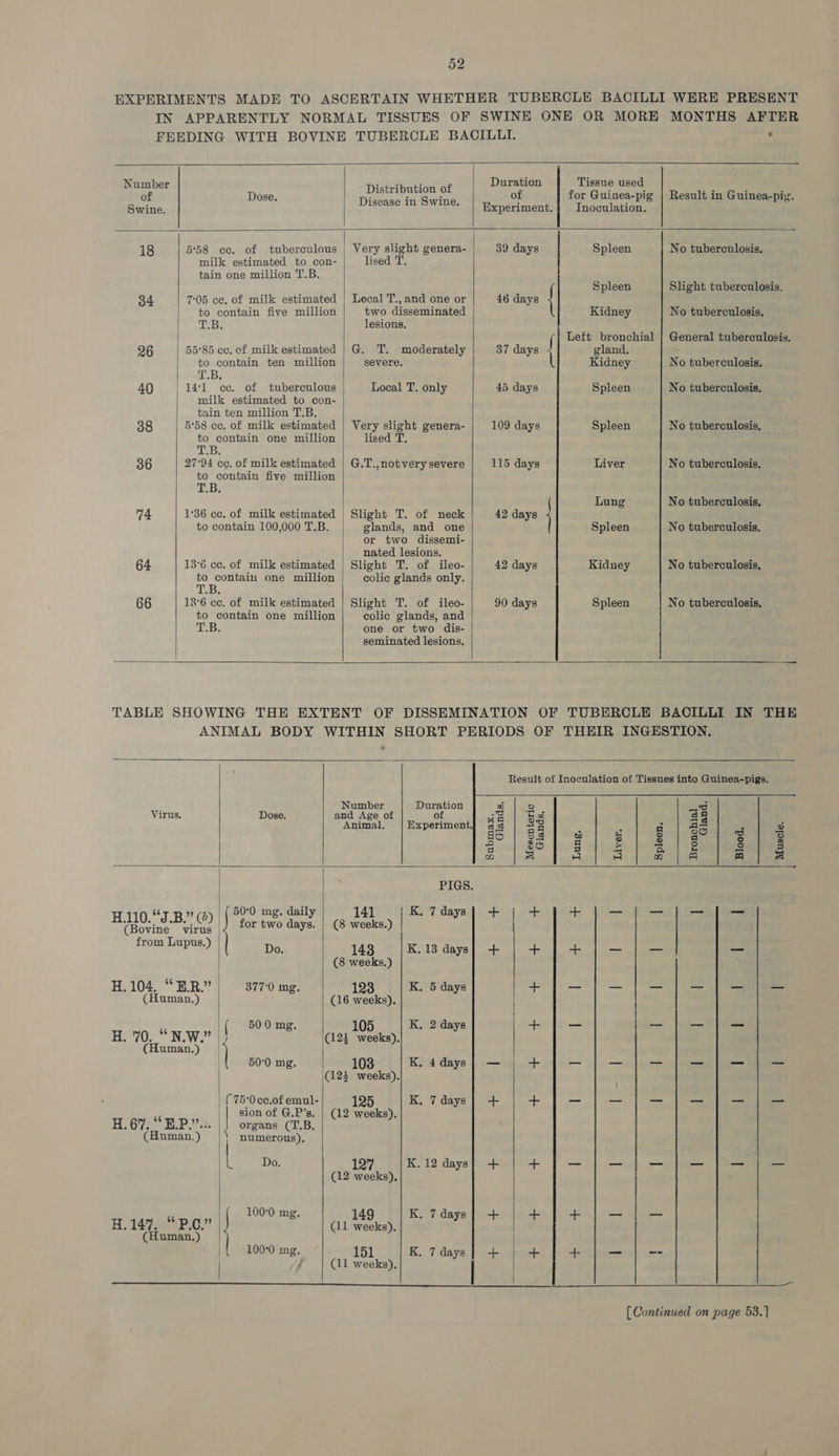 EXPERIMENTS MADE TO ASCERTAIN WHETHER TUBERCLE BACILLI WERE PRESENT IN APPARENTLY NORMAL TISSUES OF SWINE ONE OR MORE MONTHS AFTER   Number Les or Leys Duration Tissue used of Dose eae Uenas of of for Guinea-pig | Result in Guinea-pig. esate isease In Swine. | Hxperiment.| Inoculation. 18 5°58 cc. of tuberculous | Very slight genera- | 39 days Spleen No tuberculosis. milk estimated to con- lised T. tain one million T.B. rf Spleen Slight tuberculosis. 34 7-05 ce. of milk estimated | Local T., and one or 46 days | to contain five million two disseminated \ Kidney No tuberculosis, TB, | lesions. Left bronchial | General tuberculosis. 96 55°85 cc. of milk estimated | G. T. moderately 37 days | gland. j to contain ten million severe. Kidney - No tuberculosis. T.B. 40 | 141 cc. of tuberculous Local T. only 45 days Spleen . No tuberculosis. milk estimated to con- tain ten million T.B. 38 5°58 ce. of milk estimated | Very slight genera- 109 days Spleen No tuberculosis, to contain one million lised T, 1B: 36 27°94 cc. of milk estimated | G.T.,notvery severe 115 days Liver No tuberculosis. to contain five million Lung No tuberculosis, 14 1°36 cc. of milk estimated | Slight T. of neck 42 days to contain 100,000 T.B. glands, and one Spleen No tuberculosis. or two dissemi- nated lesions. 64 13°6 cc. of milk estimated | Slight T. of ileo- 42 days Kidney No tuberculosis, to contain one million colic glands only. TB, 66 18°6 cc. of milk estimated | Slight T. of ileo- 90 days Spleen No tuberculosis, to contain one million colic glands, and T.B. one or two dis- seminated lesions.           Result of Inoculation of Tissues into Guinea-pigs, Number Duration wo 2 _3 Virus. Dose. and Age of of iis Eo aa Animal, |Experiment}| as | =% c a as o d5 | 3a] &amp; FA an ek Nee 3 Sieh BS food a hebvelare aa ee S ae a a A 4a 3) aa) Q a PIGS. 7 pp 92775 | ( 50°0 mg. daily 141 K. 7 days} + + + — —_ — — se A Ae |) for two days. | (8 weeks.) from Lupus.) Do. 143 K.13 days| + ne ai ht ils eh. (8 weeks.) H. 104, “E.R.” 377°0 mg. 123 K. 5 days om — ee (Human.) (16 weeks). | 500 mg. 105 K, 2 days + _ _ _ = H. Me Be | | (123 weeks). ] 50°0 mg. 103 K, 4 days | =u 4+ ole + Ub le eee (123 weeks). ( 75°0cc.of emul- 125 K, 7 days} + + ~~ _ _— —_ — — x | sion of G.P’s, | (12 weeks). H.67, E.P.’.3. |} organs (T.B, (Human.) numerous), | L Do. 127 K.12 days} + | + — — eae os ag fe (12 weeks). '( 100-0 mg. 149 KOT dayeivetee dias, 1 Gir | ie ae H. 14 ‘ (11 weeks). | | { 100°0 mg, 151 K, 7days] + + + = -- ; (11 weeks),    