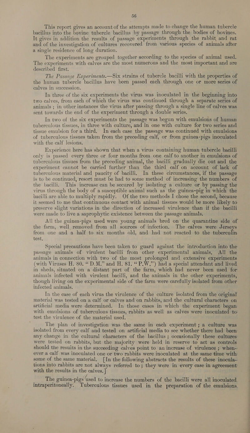 This report gives an account of the attempts made to change the human tubercle bacillus into the bovine tubercle bacillus by passage through the bodies of bovines. It gives in addition the results of passage experiments through the rabbit, and rat and of the investigation of cultures recovered from various species of animals after a single residence of long duration. The experiments are grouped together according to the species of animal used. The experiments with calves are the most numerous and the most important and are described first. The Passage Experiments.—Six strains of tubercle bacilli with the properties of the human tubercle bacillus have been passed each through one or more series of calves in succession. In three of the six experiments the virus was inoculated in the beginning into two calves, from each of which the virus was continued through a separate series of animals ; in other instances the virus after passing through a single line of calves was sent towards the end of the experiment through a double series. In two of the six experiments the passage was begun with emulsions of human tuberculous tissues, in three with culture, and in one with culture for two series and tissue emulsion for a third. In each case the passage was continuéd with emulsions of tuberculous tissues taken from the preceding calf, or from guinea-pigs inoculated with the calf lesions. Experience here has shown that when a virus containing human tubercle bacilli only is passed every three or four months from one calf to another in emulsions of tuberculous tissues from the preceding animal, the bacilli gradually die out and the experiment cannot be carried further than the third calf on account of lack of tuberculous material and paucity of bacilli. In these circumstances, if the passage is to be continued, resort must be had to some method of increasing the numbers of the bacilli. This increase can be secured by isolating a culture or by passing the virus through the body of a susceptible animal such as the guinea-pig in which the bacilli are able to multiply rapidly. Of the two methods I chose the second, because it seemed to me that continuous contact with animal tissues would be more likely to. preserve slight variations in the direction of increased virulence than if the bacilli were made to live a saprophytic existence between the passage animals. All the guinea-pigs used were young animals bred on the quarantine side of the farm, well removed from all sources of infection. The calves were Jerseys from one and a half to six months old, and had not reacted to the tuberculin test. Special precautions have been taken to guard against the introduction into the passage animals of virulent bacilli from other experimental animals, All the animals in connection with two of the most prolonged and extensive experiments. (with Viruses H. 80. “ D.M.” and H. 81. “ P.W.”’) had a special attendant and lived. in sheds, situated on a distant part of the farm, which had never been used for animals infected with virulent bacilli, and the animals in the other experiments, though living on the experimental side of the farm were carefully isolated from other infected animals. In the case of each virus the virulence of the culture isolated from the original material was tested on a calf or calves and on rabbits, and the cultural characters on artificial media were determined. In those cases in which the experiment began with emulsions of tuberculous tissues, rabbits as well as calves were inoculated to- test the virulence of the material used. The plan of investigation was the same in each experiment ; a culture was isolated from every calf and tested on artificial media to see whether there had been any change in the cultural characters of the bacillus ; occasionally these cultures were tested on rabbits, but the majority were held in reserve to act as controls should the resuits in the succeeding calves point to an increase of virulence ; when- ever a calf was inoculated one or two rabbits were inoculated at the same time with some of the same material. [In the following abstracts the results of these inocula-. tions into rabbits are not always referred to; they were in every case in agreement: with the results in the calves. ] The guinea-pigs used to increase the numbers of the bacilli were all inoculated intraperitoneally. Tuberculous tissues used in the preparation of the emulsions.