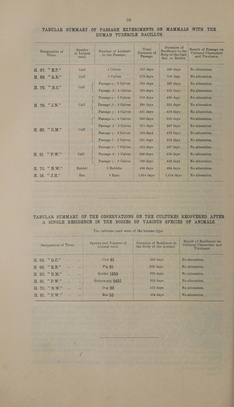 TABULAR SUMMARY OF PASSAGE EXPERIMENTS ON MAMMALS WITH THE HUMAN TUBERCLE BACILLUS. Designation ot | gS{SHSS, | Namber of Animate | pith gp | Reston the | of Bama cm = | used, od Passage. Rat orb Shin and Virulence. | H. 67. “ E.P.” Calf 4 Calves | 551 days 460 days No alteration. H. 68. “RB.” Calf | 5 Calves | 673 days 506 days _| No alteration. 3 | Passagea: 3 Calves | 398 days 327 days No alteration. Bae ghee ee ‘ Passage 3: 4 Calves 524 days 453 days No alteration. (i Passage a: 4 Calves 513 days 485 days No alteration. eh ae | Calf Passage 3 : 3 Calves 390 days 316 days No alteration. | 1 Passage y: 4 Calves 481 days 418 days | No alteration. | ( | Passage a: 4 Calves 562 days 506 days No alteration. eo)” ae ; | Passage 2: 2 Calves 315 days 247 days No alteration. re gs | | Passage y: 4 Calves 548 days 478 days No alteration. U Passage 0: 2 Calves 561 days 512 days No alteration. | (i | Passage a: 7 Calves 552 days 497 days No alteration. H sit? w?? | Calf | Passage 3: 4 Calves 548 days 459 days No alteration. | L Passage y : 3 Calves 539 days 452 days No alteration. H. 70. “N.W.” | Rabbit | 3 Rabbits 484 days 484 days No alteration. H. 16h“ J.-H | Rat. | 8 Rats 1,614 days 1,614 days No alteration. | TABULAR SUMMARY OF THE OBSERVATIONS ON THE CULTURES RECOVERED AFTER A SINGLE RESIDENCE IN THE BODIES OF VARIOUS SPECIES OF ANIMALS. The cultures used were of the human type. : : : : : Result of Residence on Sp lls ay Species and Number of Duration of Residence in Designation of Virus. | Ryinialoused: the Body of the Animal. ve ee and = | ite 183. “C67 ae ie | Cow 61 529 days No alteration. H' 68) “RB Set. to eh) Pig 81 378 days | No alteration, 800 DN ee Rabbit 1258 725 days | No alteration, Hast: “Pw ea Guinea-pig 2451 320 days _ No alteration. j | Hy106 Si NW et oe Dog 29 413 days _ No alteration, : | H. 81. “P.W2ees. bad | Rat 55 454 days | No alteration, | ree! oe