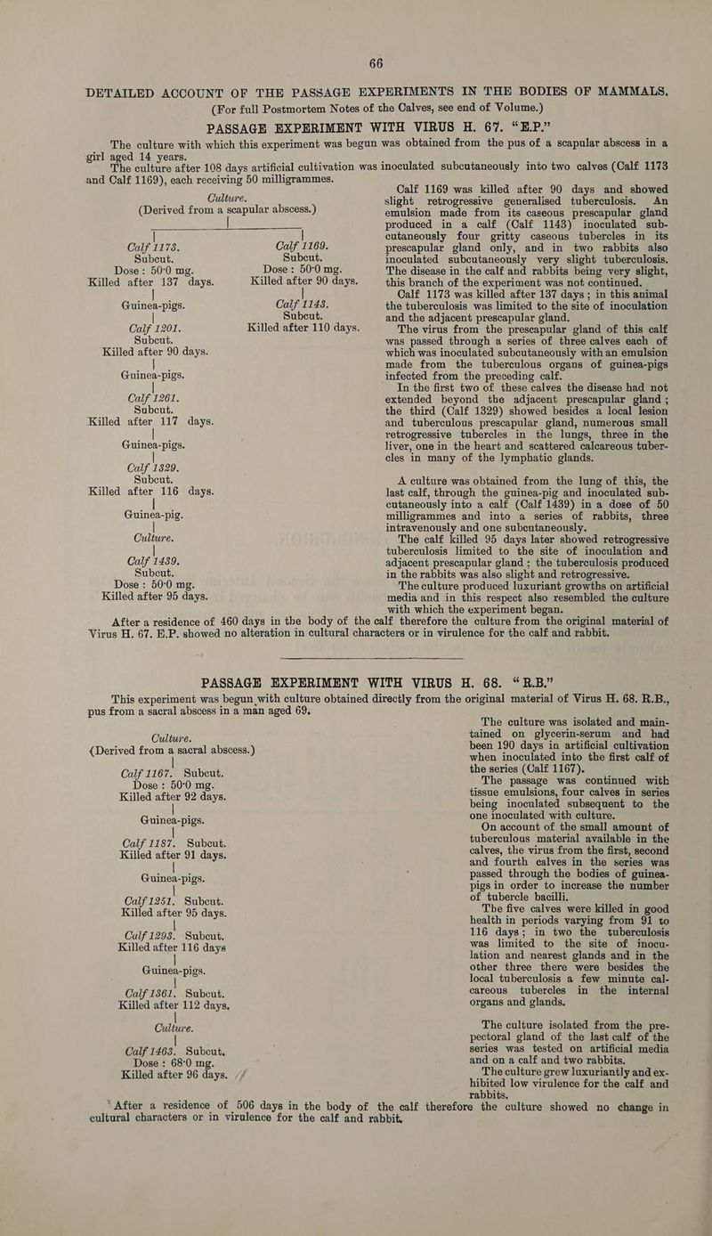 girl aged 14 years. and Calf 1169), each receiving 50 milligrammes. Culture. (Derived from a scapular abscess.) | | Calf 1178. Calf 1169. Subecut. Subcut. Dose : 50:0 mg. Dose : 50:0 mg. Killed after 137 days. Killed ae 90 days. Guinea-pigs. Calf 1143. Subcut. Calf 1201. Killed after 110 days. Subcut. Killed after 90 days. | Guinea-pigs. Calf 1261. Subcut. Killed after 117 days. | Guinea-pigs. Calf 1329. Subcut. Killed after 116 days. Guinea-pig. Culture. Calf er Subcut. Dose : 50°0 mg. Killed after 95 days. Calf 1169 was killed after 90 days and showed slight retrogressive generalised tuberculosis. An emulsion made from its caseous prescapular gland produced in a calf (Calf 1143) inoculated sub- cutaneously four gritty caseous tubercles in its prescapular gland only, and in two rabbits also inoculated subcutaneously very slight tuberculosis. The disease in the calf and rabbits being very slight, this branch of the experiment was not continued. Calf 1173 was killed after 137 days ; in this animal the tuberculosis was limited to the site of inoculation and the adjacent prescapular gland. The virus from the prescapular gland of this calf was passed through a series of three calves each of which was inoculated subcutaneously with an emulsion made from the tuberculous organs of guinea-pigs infected from the preceding calf. In the first two of these calves the disease had not extended beyond the adjacent prescapular gland ; the third (Calf 1329) showed besides a local lesion and tuberculous prescapular gland, numerous small retrogressive tubercles in the lungs, three in the liver, one in the heart and scattered calcareous tuber- cles in many of the lymphatic glands. A culture was obtained from the lung of this, the last calf, through the guinea-pig and inoculated sub- cutaneously into a calf (Calf 1439) in a dose of 50 milligrammes and into a series of rabbits, three intravenously and one subcutaneously. The calf killed 95 days later showed retrogressive tuberculosis limited to the site of inoculation and adjacent prescapular gland ; the tuberculosis produced in the rabbits was also slight and retrogressive. The culture produced luxuriant growths on artificial media and in this respect also resembled the culture with which the experiment began. pus from a sacral abscess in a man aged 69. Culture. {Derived from a sacral abscess.) Calf 1167. Subcut. Dose : 50:0 mg. Killed after 92 days. | Guinea-pigs. Calf 1187. Subcut. Killed after 91 days. | Guinea-pigs. Calf 1251. Subcut. Killed after 95 days. Calf 1298. Subcut, Killed after 116 days Guinea-pigs. Calf 13861. Subcut. Killed after 112 days. Culture. | Calf 1463. Subcut. Dose : 68°0 mg. Killed after 96 days. The culture was isolated and main- tained on glycerin-serum and had been 190 days in artificial cultivation when inoculated into the first calf of the series (Calf 1167). The passage was continued with tissue emulsions, four calves in series being inoculated subsequent to the one inoculated with culture. On account of the small amount of tuberculous material available in the calves, the virus from the first, second and fourth calves in the series was passed through the bodies of guinea- pigs in order to increase the number of tubercle bacilli. The five calves were killed in good health in periods varying from 91 to 116 days; in two the tuberculosis was limited to the site of inocu- lation and nearest glands and in the other three there were besides the local tuberculosis a few minute cal- careous tubercles in the internal organs and glands. The culture isolated from the pre- pectoral gland of the last calf of the series was tested on artificial media and on a calf and two rabbits. The culture grew luxuriantly and ex- hibited low virulence for the calf and rabbits.