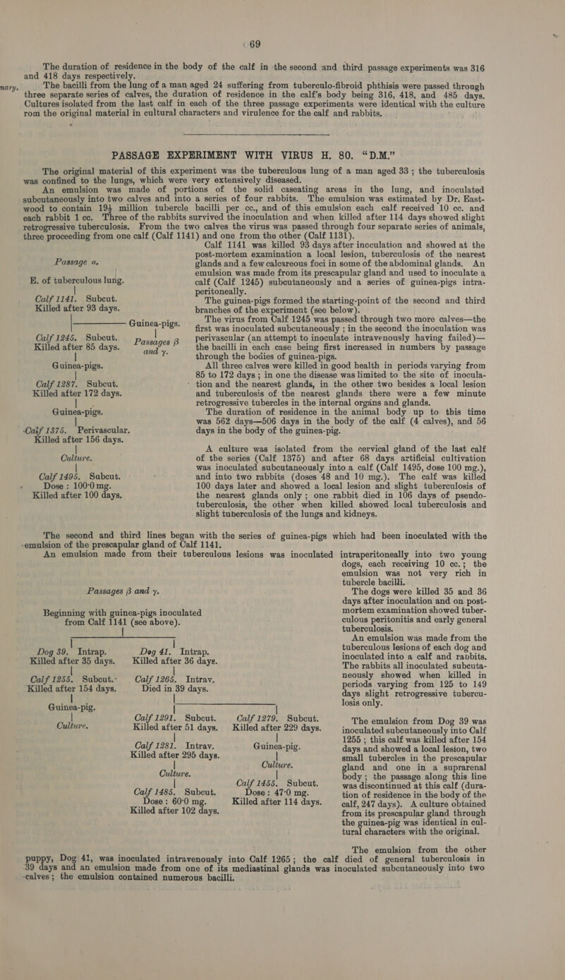 nary. The duration of residence in the body of the calf in the second and third passage experiments was 316 and 418 days respectively. The bacilli from the lung of a man aged 24 suffering from tuberculo-fibroid phthisis were passed through three separate series of calves, the duration of residence in the calf’s body being 316, 418, and 485 days. Cultures isolated from the last calf in each of the three passage experiments were identical with the culture rom the original material in cultural characters and virulence for the calf and rabbits, .  PASSAGE EXPERIMENT WITH VIRUS H, 80. “D.M.” The original material of this experiment was the tuberculous lung of a man aged 33; the tuberculosis was confined to the lungs, which were very extensively diseased. An emulsion was made of portions of the solid caseating areas in the lung, and inoculated subcutaneously into two calves and into a series of four rabbits. The emulsion was estimated by Dr. East- wood to contain 19} million tubercle bacilli per cc., and of this emulsion each calf received 10 cc. and each rabbit 1 cc. Three of the rabbits survived the inoculation and when killed after 114 days showed slight retrogressive tuberculosis. From the two calves the virus was passed through four separate series of animals, three proceeding from one calf (Calf 1141) and one from the other (Calf 1131). Calf 1141 was killed 93 days after inoculation and showed at the post-mortem examination a local lesion, tuberculosis of the nearest Passage a, glands and a few calcareous foci in some of the abdominal glands. An emulsion was made from its prescapular gland and used to inoculate a K. of tuberculous lung. calf (Calf 1245) subcutaneously and a series of guinea-pigs intra- peritoneally. Calf 1141. Subcut. The guinea-pigs formed the starting-point of the second and third Killed after 93 days. branches of the experiment (see below). The virus from Calf 1245 was passed through two more calves—the first was inoculated subcutaneously ; in the second the inoculation was Calf 1245. Subcut. Passages B perivascular (an attempt to inoculate intravenously having failed)— Killed after 85 days. in the bacilli in each case being first increased in numbers by passage Guinea-pigs. and y. eh : 3 through the bodies of guinea-pigs. Guinea-pigs. All three calves were killed in good health in periods varying from 85 to 172 days ; in one the disease was limited to the site of inocula- Calf 1287. Subcut. - tion and the nearest glands, in the other two besides a local lesion Killed after 172 days. and tuberculosis of the nearest glands there were a few minute retrogressive tubercles in the internal organs and glands. Guinea-pigs. The duration of residence in the animal body up to this time was 562 days—506 days in the body of the calf (4 calves), and 56 Caif 1375. Perivascular. days in the body of the guinea-pig. Killed after 156 days. | A culture was isolated from the cervical gland of the last calf Culture. of the series (Calf 1375) and after 68 days artificial cultivation | was inoculated subcutaneously into a calf (Calf 1495, dose 100 mg.), Calf 1495. Subcut. and into two rabbits (doses 48 and 10 mg.). The calf was killed Dose : 100°0 mg. 100 days later and showed a local lesion and slight tuberculosis of Killed after 100 days. the nearest glands only; one rabbit died in 106 days of pseudo- tuberculosis, the other when killed showed local tuberculosis and slight tuberculosis of the lungs and kidneys. The second and third lines began with the series of guinea-pigs which had been inoculated with the -emulsion of the prescapular gland of Calf 1141. An emulsion made from their tuberculous lesions was inoculated intraperitoneally into two young dogs, each receiving 10 cc.; the emulsion was not very rich in tubercle bacilli. Passages 8 and y. The dogs were killed 35 and 36 days after inoculation and on post- Beginning with guinea-pigs inoculated mortem examination showed tuber- from Calf 1141 (see above). culous peritonitis and early general tuberculosis. i An emulsion was made from the tuberculous lesions of each dog and Dog 39. Intrap. Dog 41. Intrap. ee : : A ; oculated into a calf and rapbits. Killed after 35 days. = Killed after 36 days. Whe eabita alllinadalated .ubeuta- ly showed when killed in Calf 1255. Subeut.- Calf 1265. Intrav. oe Jaen : ee periods varying from 125 to 149 Killed after 154 days. Died aati days. days slight retrogressive tubercu- Guinea-pig. losis only. | | Calf 1291. Subcut. Calf 1279. Subcut. The emulsion from Dog 39 was Culture. Killed after 51 days. Killed after 229 days. inoculated subcutaneously into Calf iF : 1255 ; this calf was killed after 154 Calf 1281. Intrav. Guinea-pig. days and showed a local lesion, two Killed after 295 days. small tubercles in the prescapular Culture. gland and one in a suprarenal Culture. lias body ; the passage along this line | Calf 1455. Subcut. was discontinued at this calf (dura- Calf 1485. Subcut. Dose: 47:0 mg. tion of residence in the body of the Dose : 60:0 mg. Killed after 114 days. calf, 247 days). A culture obtained Killed after 102 days. from its prescapular gland through the guinea-pig was identical in cul- tural characters with the original. . The emulsion from the other puppy, Dog 41, was inoculated intravenously into Calf 1265; the calf died of general tuberculosis in -39 days and an emulsion made from one of its mediastinal glands was inoculated subcutaneously into two ~calves ; the emulsion contained numerous bacilli.