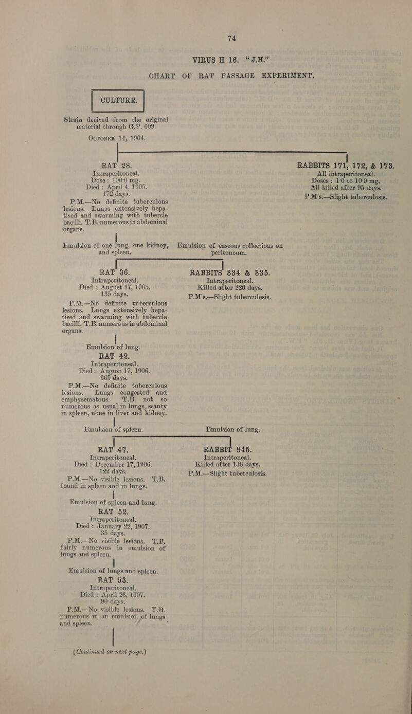VIRUS H 16. “J.H.” CHART OF RAT PASSAGE EXPERIMENT, | CULTURE. | Strain derived from the original material through G.P. 609. OcToBer 14, 1904.  RAT 28. RABBITS 171, 172, &amp; 173. Fea All intraperitoneal. ose; 100-0 mg. Doses : 1°0 to 10:0 mg, Died: April 4, 1905. All killed after 95 days. 172 days. P.M’s.—Slight tuberculosis, P.M.—No definite tuberculous lesions. Lungs extensively hepa- tised and swarming with tubercle bacilli. T.B. numerous in abdominal organs. Emulsion of one lung, one kidney, Emulsion of caseous collections on  and spleen. peritoneum. RAT 36. RABBITS 334 &amp; 385. Intraperitoneal. Intraperitoneal. Died : August 17, 1905. Killed after 220 days. 135 days. P.M’s.—Slight tuberculosis. P.M.—No definite tuberculous lesions. Lungs extensively hepa- tised and swarming with tubercle bacilli. T.B. numerous in abdominal organs. Emulsion of lung. RAT 42. Intraperitoneal. Died: August 17, 1906. 365 days. P.M.—No definite tuberculous lesions. Lungs congested and emphysematous. T.B. not so numerous as usual in lungs, scanty in spleen, none in liver and kidney.  Emulsion of spieen. Emulsion of lung. RAT 47%, fe ie 945. Intraperitoneal. Intraperitoneal. Died : December 17, 1906. Killed after 138 days. 122 days. P.M.—Slight tuberculosis. P.M.—No visible lesions. T.B. found in spleen and in lungs. Emulsion of spleen and lung. RAT 52. Intraperitoneal. Died : January 22, 1907. 35 days. P.M.—No visible lesions. T.B, fairly numerous in emulsion of lungs and spleen. Emulsion of lungs and spleen. RAT 53. Intraperitoneal. Died : April 23, 1907. 90 days. : P.M.—No visible lesions. T.B. numerous in an emulsion of lungs and spleen. | (Continued on next page.)