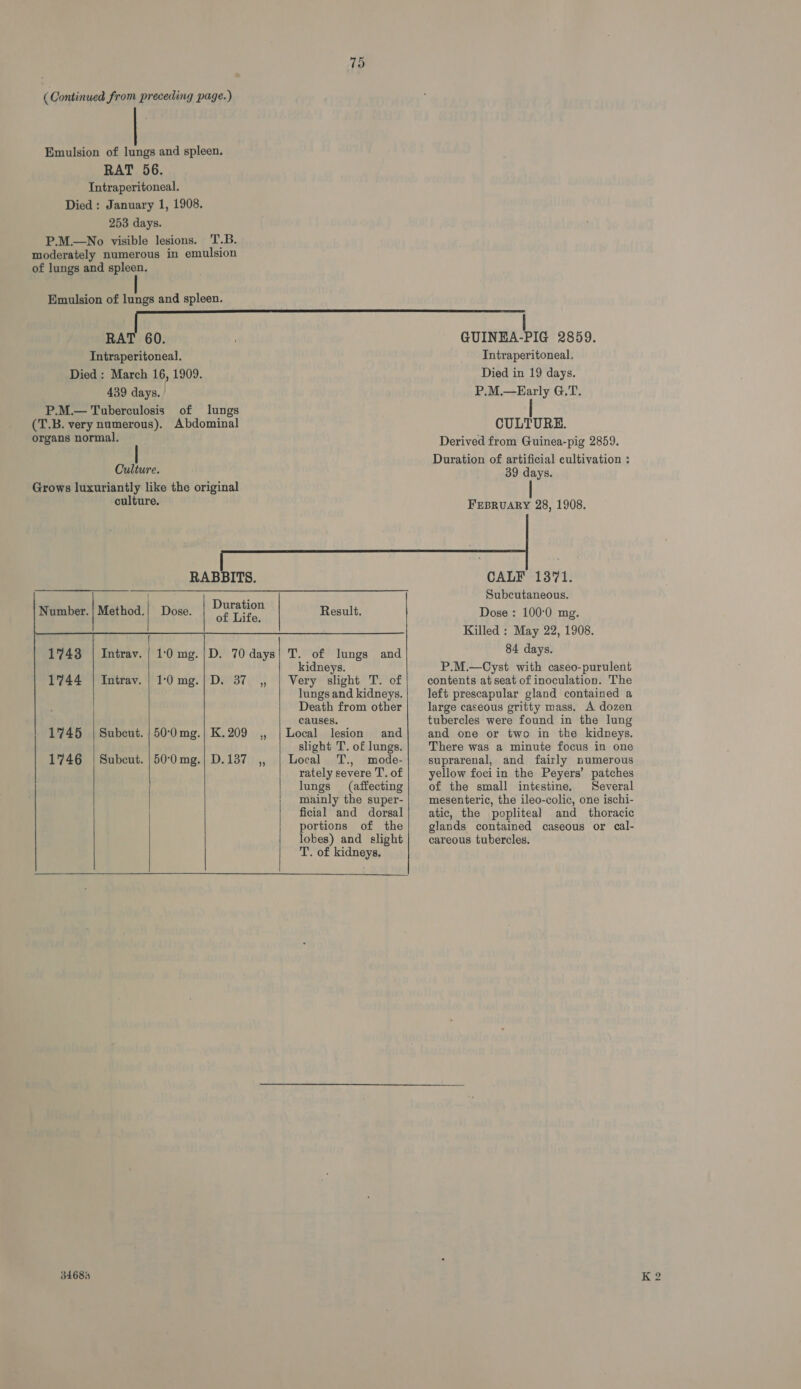 Emulsion of lungs and spleen. RAT 56. Intraperitoneal. Died: January 1, 1908. 253 days. P.M.—No visible lesions. T.B. moderately numerous in emulsion of lungs and spleen. Emulsion of lungs and spleen. 75 Intraperitoneal. Died: March 16, 1909. 439 days. | P.M.— Tuberculosis of lungs (T.B. very numerous). Abdominal organs normal.         Culture. Grows luxurianily like the original culture. RABBITS. | Durati uration Number. | Method.| Dose. of Life, 1743 | Intrav. | 1:0 mg. |D. 70 days 1744 | Intrav. | 1:0 mg.| D. 37 ,, 1745 | Subcut. | 50°0mg.| K.209 ,, 1746 | Subcut. |50°0 mg.| D.137_,, 34684   Result. Local lesion and slight T. of lungs. Local T., mode- rately severe T. of lungs (affecting mainly the super- ficial and dorsal portions of the lobes) and slight T. of kidneys. Intraperitoneal. Died in 19 days. P.M.—Early G.T. CULTURE. Derived from Guinea-pig 2859. Duration of artificial cultivation ; 39 days. FEBRUARY 28, 1908. CALF 1371. Subcutaneous. Dose : 100°0 mg. Killed : May 22, 1908. 84 days. P.M.—Cyst with caseo-purulent contents at seat of inoculation. The left prescapular gland contained a large caseous gritty mass. A dozen tubercles were found in the lung and one or two in the kidneys. There was a minute focus in one suprarenal, and fairly numerous yellow foci in the Peyers’ patches of the small intestine. Several mesenteric, the ileo-colic, one ischi- atic, the poplitea) and _ thoracic glands contained caseous or cal- careous tubercles.