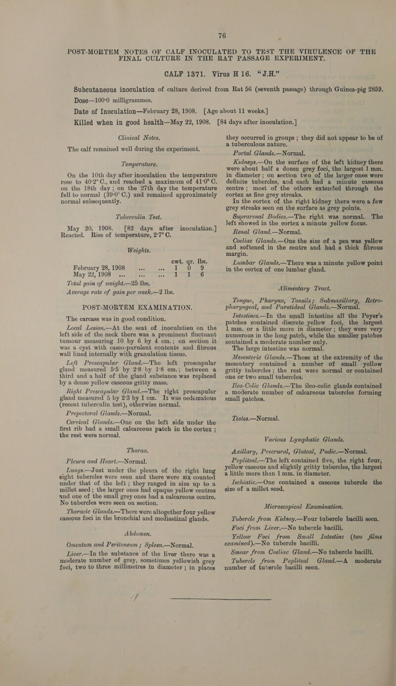 CALF 1371. “3H Dose—100°0 milligrammes. Killed when in good health—May 22, 1908. Clinical Notes. The calf remained well during the experiment. Temperature. On the 10th day after inoculation the temperature rose to 40°2°C., and reached a maximum of 41:0°C. on the 18th day; on the 27th day the temperature fell to normal (39°0° C.) and remained approximately normal subsequently. Tuberculin Test. May 20, 1908. [82 days after inoculation.] Reacted. Rise of temperature, 2°7° C. Weights. ewt. qr. lbs. February 28, 1908 pee ed Ga iat May 22,1908 ... Ty ee Total gain of weight.—25 lbs. Average rate of gain per week.—2 lbs. POST-MORTEM EXAMINATION. The carcass was in good condition. Local Lesion.—At the seat of inoculatien on the left side of the neck there was a prominent fluctuant tumour measuring 10 by 6 by 4 cm.; on section it was a cyst with caseo-puruient contents and fibrous wall lined internally with granulation tissue. Left Prescapular Gland.—The left prescapular gland measured 5:5 by 2°8 by 1:8 cm.; between a third and a half of the gland substance was replaced by a dense yellow caseous gritty mass. Right Prescapular Gland.—The right prescapular gland measured 5 by 2°3 by 1 cm. It was oedematous (recent tuberculin test), otherwise normal, Prepectoral Glands.—Normal., Cervical Gilands.—One on the left side under the first rib had a small calcareous patch in the cortex ; the rest were normal, Thora. Pleura and Heart.—Normal. Lungs.—Just under the pleura of the right lung eight tubercles were seen and there were six counted under that of the left ; they ranged in size up to a millet seed ; the larger ones had opaque yellow centres and one of the small grey ones had a calcareous centre. No tubercles were seen on section. Thoracic Glands.—There were altogether four yellow caseous foci in the bronchial and mediastinal glands. Abdomen. Omentum and Peritoneum ; Spleen.—Normal. Liver.—In the substance of the liver there was a moderate number of grey, sometimes yellowish grey foci, two to three millimetres in diameter ; in places they occurred in groups ; they did not appear to be of a tuberculous nature. Portal Glands.—Normal. Kidneys.—On the surface of the left kidney there were about half a dozen grey foci, the largest 1 mm. in diameter ; on section two of the larger ones were definite tubercles, and each had a minute caseous centre; most of the others extended through the cortex as fine grey streaks. In the cortex of the right kidney there were a few grey streaks seen on the surface as grey points. Suprarenal Bodies—The right was normal. Jeft showed in the cortex a minute yellow focus. Renal Gland.—Normal. Coeliac Gilands.—One the size of a pea was yellow and softened in the centre and had a thick fibrous margin. Lumbar Glands.—There was a minute yellow point in the cortex of one lumbar gland. The Alimentary Tract. Tongue, Pharyna, Tonsils; Submaaillary, Retro- pharyngeal, and Parotideal Glands.—Normal. Intestines—In the small intestine all the Peyer’s patches contained discrete yellow foci, the largest 1 mm. or a little more in diameter ; they were very numerous in the long patch, while the smaller patches contained a moderate number only. The large intestine was normal. Mesenteric Glands.—Those at the extremity of the mesentery contained a number of small yellow gritty tubercles ; the rest were normal or contained one or two small tubercles. Lleo-Colic Glands.—The ileo-colic glands contained a moderate number of calcareous tubercles forming small patches. Testes.—Normal. Various Lymphatic Glands. Axillary, Precrural, Gluteal, Pudic.—Normal. Popliteal.—The left contained five, the right four, yellow caseous and slightly gritty tubercles, the largest a little more than 1 mm. in diameter. Ischiatic.—One contained a caseous tubercle the size of a millet seed. Microscopical Examination. Tubercle from Kidney.—Four tubercle bacilli seen. Foci from Liver.—No tubercle bacilli. Yellow Foci from Small Intestine examined).—No tubercle bacilli. Smear from Coeliac Gland.—No tubercle bacilli. Tubercle from Popliteal Gland.—A moderate number of tubercle bacilli seen. (two . films