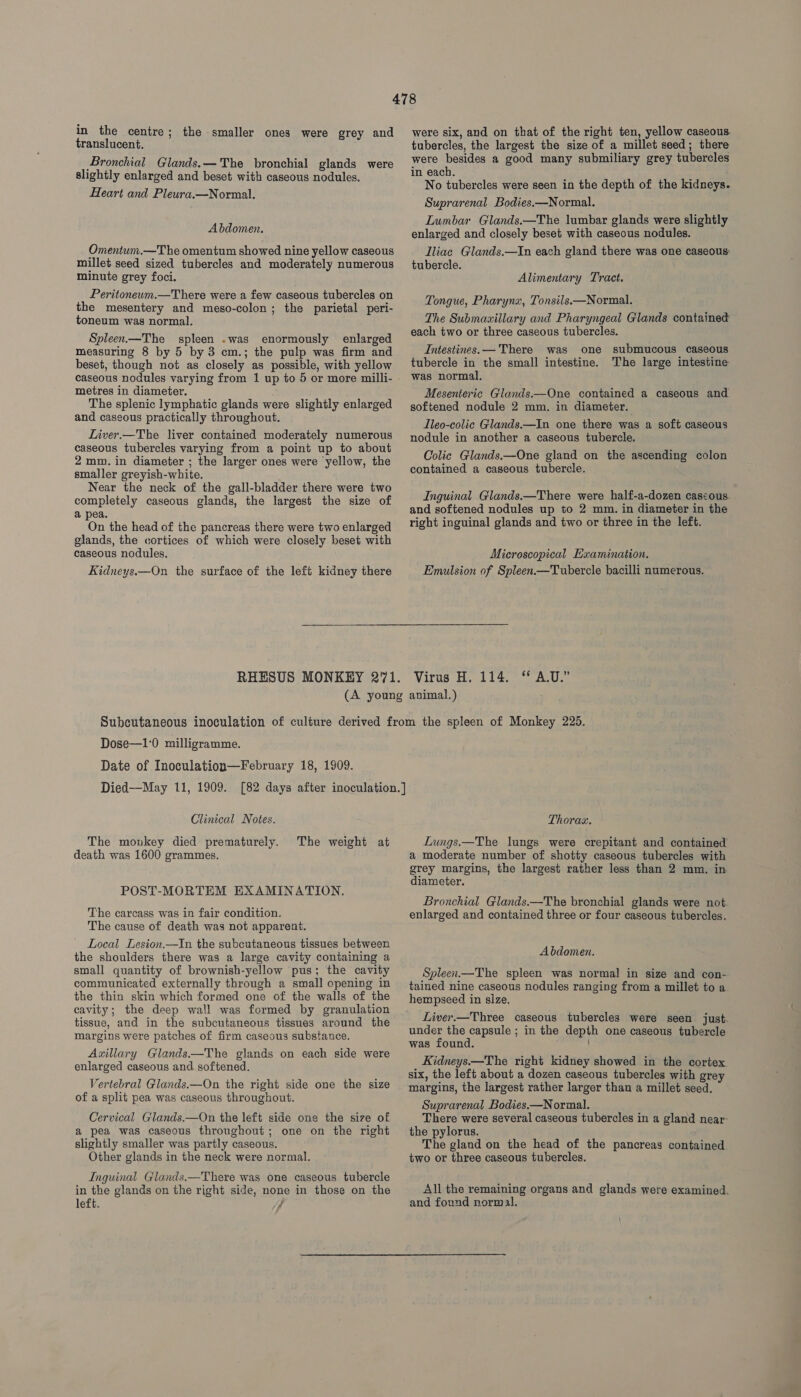 translucent. Bronchial Glands.—The bronchial glands were slightly enlarged and beset with caseous nodules. Heart and Pleura.—Normal. Abdomen. Omentum.—The omentum showed nine yellow caseous millet seed sized tubercles and moderately numerous minute grey foci. Peritoneum.—There were a few caseous tubercles on the mesentery and meso-colon ; the parietal peri- toneum was normal. Spleen.—The spleen .was enormously enlarged measuring 8 by 5 by 3 cm.; the pulp was firm and beset, though not as closely as possible, with yellow metres in diameter. The splenic lymphatic glands were slightly enlarged and caseous practically throughout. Liver.—The liver contained moderately numerous caseous tubercles varying from a point up to about 2mm. in diameter ; the larger ones were yellow, the smaller greyish-white. Near the neck of the gall-bladder there were two completely caseous glands, the largest the size of a pea. On the head of the pancreas there were two enlarged glands, the cortices of which were closely beset with caseous nodules. Kidneys.—On. the surface of the left kidney there tubercles, the largest the size of a millet seed; there were besides a good many submiliary grey tubercles in each. No tubercles were seen in the depth of the kidneys. Suprarenal Bodies.—Normal. Lumbar Glands.—The lumbar glands were slightly enlarged and closely beset with caseous nodules. Iliac Glands.—In each gland there was one caseous: tubercle. Alimentary Tract. Tongue, Pharynx, Tonsils.—Normal. The Submazillary and Pharyngeal Glands contained each two or three caseous tubercles. one submucous caseous The large intestine: Intestines. — There was tubercle in the small intestine. was normal. Mesenteric Glands—One contained a caseous and softened nodule 2 mm. in diameter. Ileo-colic Glands.—In one there was a soft caseous nodule in another a caseous tubercle. Colic Glands.—One gland on the ascending colon contained a caseous tubercle. Inguinal Glands.—There were half-a-dozen cascous. and softened nodules up to 2 mm. in diameter in the right inguinal glands and two or three in the left. Microscopical Examination. Emulsion of Spleen.—Tubercle bacilli numerous. Virus H. 114. “ A.U.” Dose—1°0 milligramme. Date of Inoculation—February 18, 1909. Died—May 11, 1909. Clinical Notes. The monkey died prematurely. The weight at death was 1600 grammes. POST-MORTEM EXAMINATION. The carcass was in fair condition. The cause of death was not apparent. Local Lesion.—In the subcutaneous tissues between the shoulders there was a large cavity containing a small quantity of brownish-yellow pus; the cavity communicated externally through a small opening in the thin skin which formed one of the walls of the cavity; the deep wall was formed by granulation tissue, and in the subcutaneous tissues around the margins were patches of firm caseous substance. Axillary Glands.—The glands on each side were enlarged caseous and softened. Vertebral Glands.—On the right side one the size of a split pea was caseous throughout. Cervical G'ilands.—On the left side one the size of a pea was caseous throughout; one on the right slightly smaller was partly caseous. Other glands in the neck were normal. Inguinal G'ilands.—There was one caseous tubercle in the glands on the right side, none in those on the left. f Thorax. Lungs.—The lungs were crepitant and contained a moderate number of shotty caseous tubercles with grey margins, the largest rather less than 2 mm. in diameter. Bronchial Glands.—The bronchial glands were not enlarged and contained three or four caseous tubercles. Abdomen. Spleen—The spleen was normal in size and con- tained nine caseous nodules ranging from a millet to a hempseed in size. Liver.—Three caseous tubercles were seen just under the capsule ; in the depth one caseous tubercle was found. | Kidneys.—The right kidney showed in the cortex six, the left about a dozen caseous tubercles with grey margins, the largest rather larger than a millet seed. Suprarenal Bodies.—Normal. There were several caseous tubercles in a gland near the pylorus. The gland on the head of the pancreas contained two or three caseous tubercles. All the remaining organs and glands were examined. and found normal,