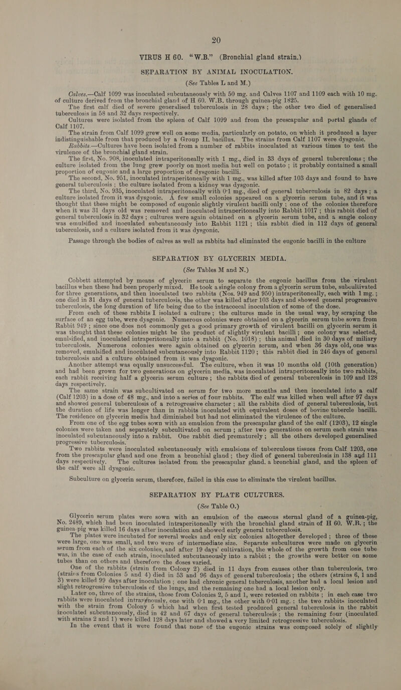 VIRUS H 60. “W.B.” (Bronchial gland strain.) SEPARATION BY ANIMAL INOCULATION. (See Tables L and M.) Calves.—Calf 1099 was inoculated subcutaneously with 50 mg. and Calves 1107 and 1109 each with 10 mg. of culture derived from the bronchial gland of H 60. W.B. through guinea-pig 1825. The first calf died of severe generalised tuberculosis in 28 days; the other two died of generalised tuberculosis in 58 and 32 days respectively. Cultures were isolated from the spleen of Calf 1099 and from the prescapular and portal glands of Calf 1107. The strain from Calf 1099 grew well on some media, particularly on potato, on which it produced a layer indistinguishable from that produced by a Group ITI. bacillus. The strains from Calf 1107 were dysgonic. Rabbits —Cultures have been isolated from a number of rabbits inoculated at various times to test the virulence of the bronchial gland strain. The first, No. 908, inoculated intraperitoneally with 1 mg., died in 33 days of general tuberculosis ; the culture isolated from the lung grew poorly on most media but well on potato ; it probably contained a small proportion of eugonic and a large proportion of dysgonic bacilli. The second, No. 951, inoculated intraperitoneally with 1 mg., was killed after 103 days and found to have general tuberculosis ; the culture isolated from a kidney was dysgonic. The third, No. 935, inoculated intraperitoneally with 01 mg., died of general tuberculosis in 82 days; a culture isolated from it was dysgonic. A few small colonies appeared on a glycerin serum tube, and it was. thought that these might be composed of eugonic slightly virulent bacilli only ; one of the colonies therefore when it was 31 days old was removed and inoculated intraperitoneally into Rabbit 1017 ; this rabbit died of general tuberculosis in 32 days ; cultures were again obtained on a glycerin serum tube, and « single colony was emulsified and inoculated subcutaneously into Rabbit 1121; this rabbit died in 112 days of general. tuberculosis, and a culture isolated from it was dysgonic. Passage through the bodies of calves as well as rabbits had eliminated the eugonic bacilli in the culture SEPARATION BY GLYCERIN MEDIA. (See Tables M and N.) Cobbett attempted by means of glycerin serum to separate the eugonic bacillus from the virulent bacillus when these had been properly mixed. He took asingle colony from a glycerin serum tube, subcullivated for three generations, and then inoculated two rabbits (Nos. 949 and 950) intraperitoneally, each with 1 mg. ;. one died in 31 days of general tuberculosis, the other was killed after 103 days and showed general progressive tuberculosis, the long duration of life being due to the intracoecal inoculation of some of the dose. From each of these rabbits I isolated a culture; the cultures made in the usual way, by scraping the- surface of an egg tube, were dysgonic. Numerous colonies were obtained on a glycerin serum tube sown from Rabbit 949 ; since one does not commonly get a good primary growth of virulent bacilli on glycerin serum it was thought that these colonies might be the product of slightly virulent bacilli; one colony was selected, emulsified, and inoculated intraperitoneally into a rabbit (No. 1018); this animal died in 30 days of miliary tuberculosis. Numerous colonies were again obtained on glycerin serum, and when 36 days old, one was removed, emulsified and inoculated subcutaneously into Rabbit 1120; this rabbit died in 246 days of general tuberculosis and a culture obtained from it was dysgonic. Another attempt was equally unsuccessful. The culture, when it was 10 months old (10th generation) and had been grown for two generations on glycerin media, was inoculated intraperitoneally into two rabbits,. each rabbit receiving half a glycerin serum culture; the rabbits died of general tuberculosis in 109 and 128 days respectively. The same strain was subcultivated on serum for two more months and then inoculated into a calf (Calf 1203) in a dose of 48 mg., and into a series of four rabbits. The calf was killed when well after 97 days and showed general tuberculosis of a retrogressive character ; all the rabbits died of general tuberculosis, but. the duration of life was longer than in rabbits inoculated with equivalent doses of bovine tubercle bacilli. The residence on glycerin media had diminished but had not eliminated the virulence of the culture. From one of the egg tubes sown with an emulsion from the prescapular gland of the calf (1203), 12 single colonies were taken and separately subcultivated on serum; after two generations on serum each strain was. inoculated subcutaneously into a rabbit. One rabbit died prematurely ; all the others developed generalised progressive tuberculosis. Two rabbits were inoculated subcutaneously with emulsions of tuberculous tissues from Calf 1203, one from the prescapular gland and one from a bronchial gland; they died of general tuberculosis in 138 agd 111 days respectively. The cultures isolated from the prescapular gland. a bronchial gland, and the spleen of the calf were all dysgonic. . Subculture on glycerin serum, therefore, failed in this case to eliminate the virulent bacillus. SEPARATION BY PLATE CULTURES. (See Table O.) Glycerin serum plates were sown with an emulsion of the caseous sternal gland of a guinea-pig, No. 2489, which had been inoculated intraperitoneally with the bronchial gland strain of H 60. W.RB.; the guinea-pig was killed 16 days after inoculation and showed early general tuberculosis. The plates were incubated for several weeks and only six colonies altogether developed ; three of these were large, one was small, and two were of intermediate size. Separate subcultures were made on glycerin - serum from each of the six colonies, and after 19 days’ cultivation, the whole of the growth from one tube was, In the case of each strain, inoculated subcutaneously into a rabbit; the growths were better on some tubes than on others and therefore the doses varied. One of the rabbits (strain from Colony 2) died in 11 days from causes other than tuberculosis, two. (strains from Colonies 5 and 4) died in 53 and 96 days of general tuberculosis; the others (strains 6, 1 and 3) were killed 99 days after inoculation ; one had chronic general tuberculosis, another had a local lesion and slight retrogressive tuberculosis of the lungs, and the remaining one had a local lesion only. Later oD, three of the strains, those from Colonies 2, 5 and 1, were retested on rabbits ; in each case two rabbits were inoculated intrayénously, one with 0-1 mg., the other with 0:01 mg. ; the two rabbits inoculated with the strain from Colony 5 which had when first tested produced general tuberculosis in the rabbit inoculated subcutaneously, died in 42 and 67 days of general.tuberculosis ; the remaining four (inoculated. with strains 2 and 1) were killed 128 days later and showed a very limited retrogressive tuberculosis. In the event that it were found that none of the eugonic strains was composed solely of slightly