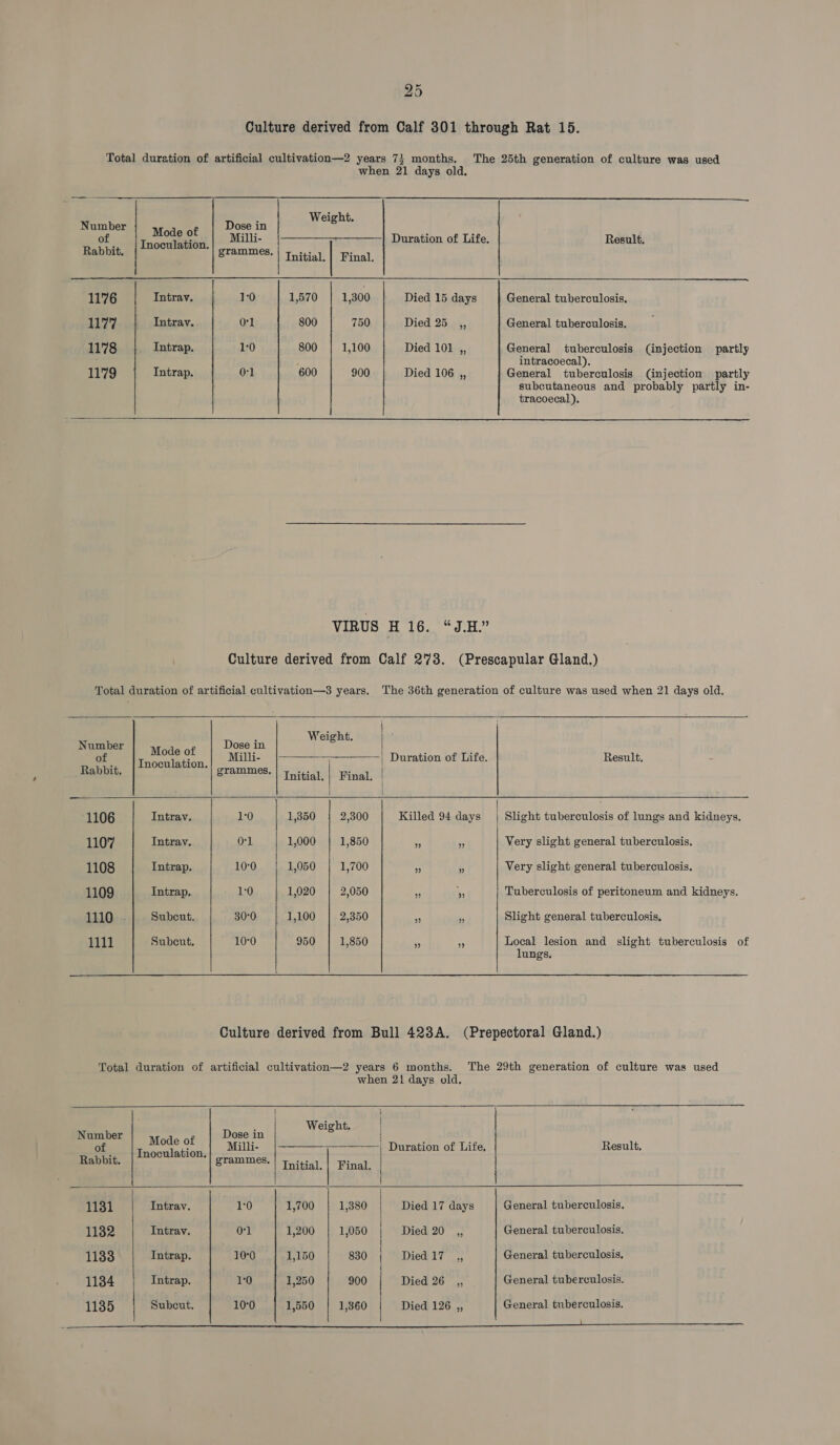 Culture derived from Calf 301 through Rat 15. Total duration of artificial cultivation—2 years 7} months. The 25th generation of culture was used when 21 days old.  ight. Number Mate at Dose in y Ete © Milli, |—————_————} Duration of Life. Result, of . Rabbit. Inoculation. grammes. | yin) | Final,  1176 Tntrav. 1:0 1,570 1,300 Died 15 days General tuberculosis. 172 Intravy. Ol 800 750 Died 25 ,, General tuberculosis. 1178 Intrap. 1:0 800 1,100 Died 101 ,, General tuberculosis (injection partly intracoecal), 1179 Intrap. 01 600 900 Died 106 ,, General tuberculosis (injection partly subcutaneous and probably partly in- tracoecal).  VIRUS H 16. “J.H.” Culture derived from Calf 273. (Prescapular Gland.) Total duration of artificial cultivation—3 years. The 36th generation of culture was used when 21 days old.        P Weight. | Number Mode of Dose in of I lati Milli- | Duration of Life. Result. Rabbit wee ERIE grammes, fh : : Initial. | Final. | ie | 1106 Intrav. 10 1,350 2,300 Killed 94 days | Slight tuberculosis of lungs and kidneys. 1107 Intrayv. Or1 1,000 1,850 - ‘ Very slight general tuberculosis. 1108 Intrap. 10°0 1,050 1,700 +) ‘ Very slight general tuberculosis. 1109 Intrap. 1:0 1,020 2,050 3 % Tuberculosis of peritoneum and kidneys, 1110 Subcut,. 30:0 1,100 2,350 £ iy Slight general tuberculosis, 1111 Subcut. 10°0 950 1,850 + an Local lesion and slight tuberculosis of lungs. Culture derived from Bull 423A. (Prepectoral Gland.) Total duration of artificial cultivation—2 years 6 months. The 29th generation of culture was used when 21 days old.      ' Weight. Number Mode of Dose in | ) EE SNR Milli- | Duration of Life. Result, Bebhit, grammes. | Thitial,| Final. | pert Bs | 1181 Intrav. 10 1,700 1,380 | Died 17 days General tuberculosis. 11382 Intray, 01 1,200 1,050 | Died 20 ,, General tuberculosis. 1133 Intrap. 10°0 1,150 830 | Died 17, General tuberculosis. 1134 Intrap. 10 1,250 900 | Died 26 _,, General tuberculosis. 1135 Subcut, 10°0 1,550 1,360 | Died 126 ,, General tuberculosis. SS a ee eee eee aneeL aeaREEEaaan: Ameena
