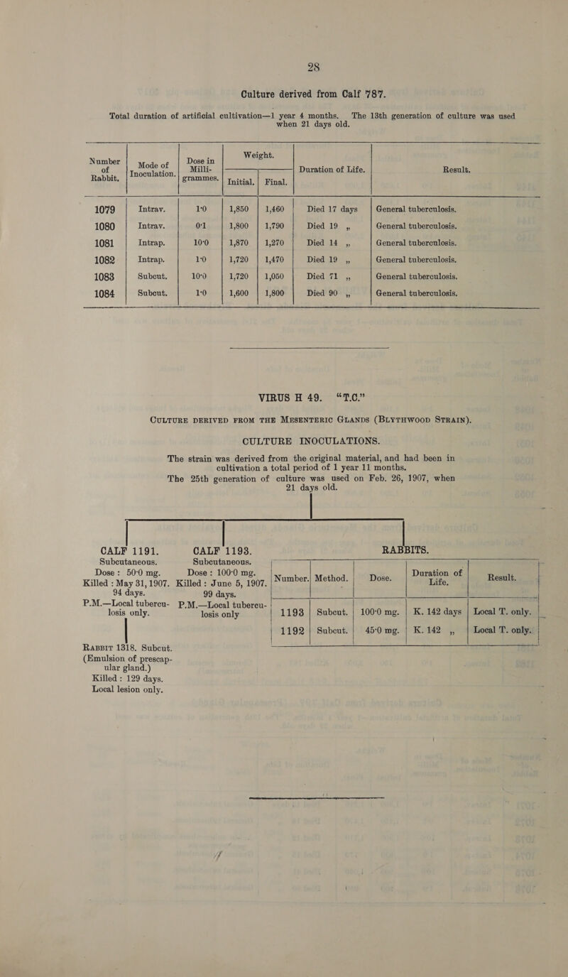  when 21 days old.    : Weight. Number Mode of Dose in of Trioeulation Milli- Duration of Life. Result. EES grammes. | Titial,| Final. 1079 Intrav. 1:0 1,850 1,460 Died 17 days General tuberculosis. 1080 Intrav. 01 1,800 1,790 Died g1 9a, General tuberculosis. 1081 Intrap. 10°0 1,870 1,270 Died 14 ,, General tuberculosis. 1082 Intrap. 1:0 1,720 1,470 Dicd sl9ey., General tuberculosis. 1083 Subcut. 10°0 1,720 1,050 Died 71 ,, General tuberculosis. 1084 Subcut. 1:0 1,600 1,800 Died 90 ,, General tuberculosis. VIRUS H 49. “T.C.” CULTURE DERIVED FROM THE MESENTERIC GLANDS (BLYTHWOOD STRAIN). CULTURE INOCULATIONS. The strain was derived from the original material, and had been in cultivation a total period of 1 year 11 months. The 25th generation of culture was used on Feb. 26, 1907, when 21 days old. CALF 1191. CALF 1198. RABBITS. Subcutaneous. Subcutaneous. p= Dose: 50:0 mg. Dose : 100°0 mg. Duration of Killed : May 31,1907. Killed eiJune 591007s. Un on se Life. Rested a 94 days. 99 days. um P.M.—Local tubereu- P,M.—Local tubercu- | losis only. losis only 1198 | Subcut. | 100°0 mg. | K. 142 days | Local T. only. | 1192 | Subcut.| 450mg. | K.142 ,, 4 Local T. only. | Raspsit 1318. Subcut. (Emulsion of prescap- ular gland.) Killed : 129 days. Local lesion only.      j- ee  