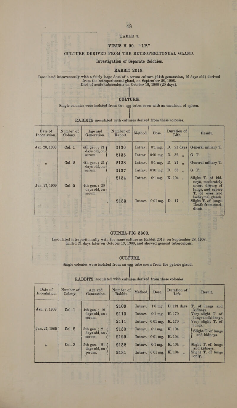 TABLE 8. VIRUS H 90. “1.P.” CULTURE DERIVED FROM THE RETROPERITONEAL GLAND. Investigation of Separate Colonies. RABBIT 2019. Inoculated intravenously with a fairly large dose of a serum culture (24th generation, 16 days old) derived | from the retroperitoveal gland, on September 28, 1908. Died of acute tuberculosis on October 18, 1908 (20 days). CULTURE. Single colonies were isolated from two egg tubes sown with an emulsion of spleen. RABBITS inoculated with cultures derived from these colonies.  Date of Number of Age and Number of | Duration of Inoculation. Colony. -| Generation. rig) Gee ME Life. Result.   Jan. 28,1909} Col. 1 | 4th gen.; days old, on serum. 2136 Intrav. | 0-1 mg. 2135 Intrav. | 0°01 mg. ont . 21 days | General miliary T. | ” Col. 2 4th gen. ; on} 2138 Intrav. | 0°1 mg. | “| L eoy me EMS 21 ,, | General miliary T. . 33. 4) Grade .104 ,, | Slight T.. of kid- neys, moderately severe disease of lungs, and severe T. of eyes and lachrymal glands. |} . 17 ,, | Slight T. of lungs.’ Death from cocci- — diosis. ¢] days old, on serum. 2137 Intrav. | 0:01 mg. 2134 Intrav. | 0-1 mg. Jan.27,1909' Col. 5 | 4th gen. ; 20 days old, on serum. | 2133 Intrav. | 0°01 mg.       GUINEA-PIG 3300. Inoculated intraperitoneally with the same’culture as Rabbit 2019, on September 28, 1908. Killed 21 days later on October 19, 1908, and showed general tuberculosis. CULTURE. Single colonies were isolated from an egg tube sown from the pyloric gland. RABBITS inoculated with cultures derived from these colonies.        Date of Number of Age and Number of Duration of Inoculation. Colony. Generation. Rabbit. Method.) = Dose. Life. Result. ( 2109 Intrav. | 1:0 mg. | D. 121 days| T. of lungs and |. Jan.7,1909} Col.1 | 4th gen.; 19 | kidneys. days old, on&lt; 2110 | Intrav. | 0:1 mg.| K.170 ,, | Very slight T. of serum. lungsand kidneys. 2111 Intrav. |0‘01mg.| K.170 ,, | Very slight T. of lungs. ; Jan, 27,1908; Col. 2 eed I | 2130 °'| Intrav. | 0-lmg. | K.104 ,, Slighw'Erof lungs ? serum. | 2129 Intrav. |0°01 mg.| K.104 ,, and kidneys. » Col.3 |5thgen 21 2132 | Intrav. | O-lmg.| K.104 ,, | Slight T. of lungs days old, on and kidneys. 2131 Intrav. |0-01 mg.} K.104 ,, | Slight T. of lungs only. | serum » Cn