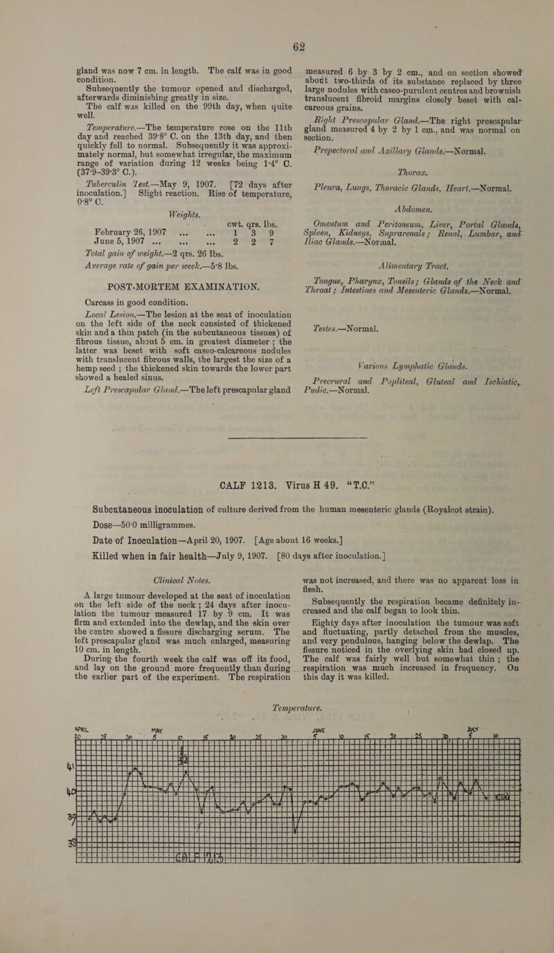 gland was now 7 cm. in length. The calf was in good condition. Subsequently the tumour opened and discharged, afterwards diminishing greatly in size. The calf was killed on the 99th day, when quite well. Temperature.—The temperature rose on the 11th day and reached 39°8° C. on the 13th day, and then quickly fell to normal. Subsequently it was approxi- mately normal, but somewhat irregular, the maximum range of variation during 12 weeks being 1:4° C. (37°9-39°3° C.). Tuberculin Test—May 9, 1907. inoculation. | 0°8° C. [72 days after Slight reaction. Rise of temperature, Weights. uo Ag cwt. qrs. lbs. February 26,1907... wae ied ial June 5, 1907 ... ose ove eee weary Total gain of weight.—2 qrs. 26 lbs. Average rate of gain per week.—5°8 Ibs. POST-MORTEM EXAMINATION. Carcass in good condition. Local Lesion—The lesion at the seat of inoculation on the left side of the neck consisted of thickened skin and a thin patch (in the subcutaneous tissues) of fibrous tissue, about 5 cm. in greatest diameter ; the latter was beset with soft caseo-calcareous nodules with translucent fibrous walls, the largest the size of a hemp seed ; the thickened skin towards the lower part showed a healed sinus. Left Prescapular Gland.—The left prescapular gland measured 6 by 3 by 2 cm., and on section showed’ about two-thirds of its substance replaced by three large nodules with caseo-purulent centres and brownish translucent fibroid margins closely beset with cal- careous grains, Right Prescapular Gland.—The right prescapular- gland measured 4 by 2 by 1 cm., and was normal on section. Prepectoral und Avillary Glands:—Normal. Thorax. Pleura, Lungs, Thoracic Glands, Heart.—Normal. Abdomen. Omentum and Peritoneum, Liver, Portal Glands, Spleen, Kidneys, Suprarenals; Renal, Lumbar, and Lliac Glands.—Normal. Alimentary Tract. Tongue, Pharynz, Tonsils; Glands of the Neck and Throat ; Intestines and Mesenteric Glands.—Normal. Testes.—Normal. Various Lymphatic Glands. Precrural and Popliteal, Gluteal and Ischiatic,. Pudic.—Normal. Dose—50'0 milligrammes. Clinical Notes. A large tumour developed at the seat of inoculation on the left side of the neck ; 24 days after inocu- lation the tumour measured 17 by 9 cm. It was firm and extended into the dewlap, and the skin over the centre showed a fissure discharging serum. The left prescapular gland was much enlarged, measuring 10 cm. in length. During the fourth week the calf was off its food, and lay on the ground more frequently than during the earlier part of the experiment. The respiration ID 4 Ee Pe sEe= FED ae Pepi id pee La BRMEEABE MEA BeAeae ses Lt te js) ae aan COCCCREA COCO ete hd CCPC! was not increased, and there was no apparent loss in- flesh. Subsequently the respiration became definitely in- creased and the calf began to look thin. Highty days after inoculation the tumour was soft and fluctuating, partly detached from the muscles, and very pendulous, hanging below the dewlap. The fissure noticed in the overlying skin had closed up. The calf was fairly well but somewhat thin; the respiration was much increased in frequency. On this day it was killed, 0 : p BERABRIRANTERe say AiR Sees Pan aes a SERGARESSeevoeSe EMRE SEREEeoT Ss ir pele 