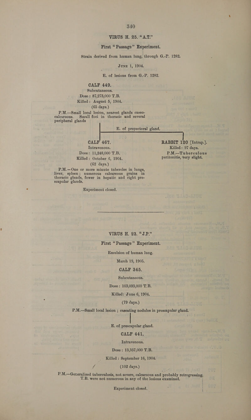 VIRUS H. 25. “A.T.” ‘First “ Passage” Experiment. Strain derived from human sikel through G.-P. 1282. JUNE 1, 1904. bh. of lesions from G.-P. 1282. CALF 449. Subcutaneous. Dose : 87,273,000 T.B. Killed: August 5, 1904. (65 days.) P.M.—Small local lesion, nearest glands caseo- calcareous. Small foci in thoracic and several peripheral glands KE. of prepectoral gland. CALF 467. RABBIT 120 [Intrap.]. Intravenous. Killed: 97 days. Dose: 11,248,000 T.B. P.M.—Tuberculous Killed: October 6, 1904. peritonitis, very slight. (62 days.) P.M.—One or more minute tubercles in lungs, liver, spleen; numerous calcareous grains in thoracic glands, fewer in hepatic and right pre- scapular glands. Experiment closed. VIRUS H. 23. “J.P.” First “Passage” Experiment. Emulsion of human lung. March 19, 1905. CALF 345. Subcutaneous. Dose: 103,093,000 T.B. Killed: June 6, 1904. (79 days.) P.M.—Small local lesion ; caseating nodules in prescapular gland. E. of prescapular gland. CALF 441, Intravenous. Dose: 13,357,000 T.B. Killed : September 16, 1904. fe (102 days.) P,M.—Generalized tuberculosis, not severe, calcareous and probably retrogressing. T.B. were not numerous in any of the lesions examined. Experiment closed, _