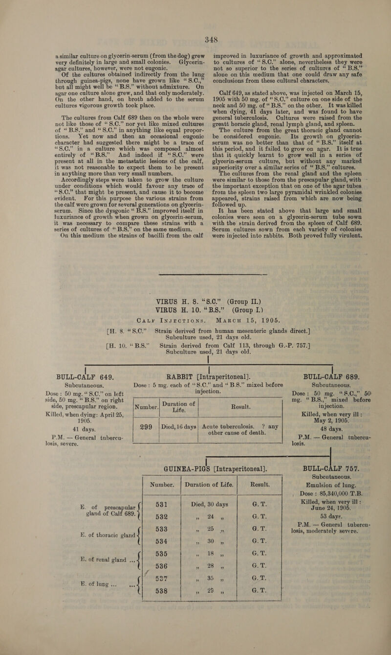 a similar culture on glycerin-serum (from the dog) grew very definitely in large and small colonies. Glycerin- agar cultures, however, were not eugonic. Of the cultures obtained indirectly from the lung through guinea-pigs, none have grown like “S.C.,” but all might well be “B.S.” without admixture. On agar one culture alone grew, and that only moderately. On the other hand, on broth added to the serum cultures vigorous growth took place. The cultures from Calf 689 then on the whole were not like those of “S.C.” nor yet like mixed cultures of “B.S.” and “8.C.” in anything like equal propor- tions. Yet now and then an occasional eugonic character had suggested there might be a trace of “S.C.” in a culture which was composed almost entirely of “B.S.” And indeed if “S.C.” were present at all in the metastatic lesions of the calf, it was not reasonable to expect them to be present in anything more than very small numbers. Accordingly steps were taken to grow the culture under conditions which would favour any trace of “S.C.” that might be present, and cause it to become evident. For this purpose the various strains from the calf were grown for several generations on glycerin- serum. Since the dysgonic “ B.S.” improved itself in luxuriance of growth when grown on glycerin-serum, it was necessary to compare these strains with a series of cultures of “ B.S.” on the same medium. On this medium the strains of bacilli from the calf  improved in luxuriance of growth and approximated to cultures of “S.C.” alone, nevertheless they were not so superior to the series of cultures of “ B.S.” alone on this medium that one could draw any safe conclusions from these cultural characters. Calf 649, as stated above, was injected on March 15, 1905 with 50 mg. of “S.C.” culture on one side of the neck and 50 mg. of “B.S.” onthe other. It was killed when dying, 41 days later, and was found to have general tuberculosis. Cultures were raised from the greatt horacic gland, renal lymph gland, and spleen. The culture from the great thoracic gland cannot be considered eugonic. Its growth on glycerin- serum was no better than that of “B.S.” itself at. this period, and it failed to grow on agar. It is true that it quickly learnt to grow well in a series of glycerin-serum culture, but without any marked superiority over a similar series of “ B.S.” cultures. The cultures from the renal gland and the spleen were similar to those from the prescapular gland, with ~ the important exception that on one of the agar tubes from the spleen two large pyramidal wrinkled colonies. appeared, strains raised from which are now being followed up. It has been stated above that large and small colonies were seen on a glycerin-serum tube sown with the strain derived from the spleen of Calf 689. Serum cultures sown from each variety of colonies were injected into rabbits. Both proved fully virulent. (Group II.) (Group I.) Marcu 15, 1905. CaL¥F INJECTIONS. [H.°8.4 8:0” [H. 10. “B.S.”  BULL-CALF 649. Subcutaneous. Dose : 50 mg. “ 8.C.” on left   eens - 689. Subcutaneous.       side, 50 mg. “ B.S.” on right : f mg. “B.S.,” mixed before side, prescapular region, Number. ape Result. injection. Killed, when dying: April 25, Bs Killed, when very ill: 1905. May 2, 1905. 41 days. 299 | Died,16days; Acute tuberculosis. ? any 48 days. other cause of death. P.M. — General tnubereu- | | P.M. — General tubercu- losis, severe. losis. GUINEA-PIGS [Intraperitoneal]. BULL-CALF 757. Subcutaneous. Number. | Duration of Life. Result. Emulsion of lung. , Dose: 85,340,000 T.B. . 1 Killed, when very ill : His&lt;-of} 0 prescapulae 531 Dict eave tds June 24, 1905. gland of Calf 689. 532 peUOa 4, G.T 53 days. Da P.M. — General tuberecu- ' ; 533 » 29 55 G.T losis, moderately severe. Hi. of thoracic gland 534 » 30 » G.T 535 rede chy ot Gall E. of renal gland ,., 536 pn HO ye Go. r eer Pie See G.T BK. of lung ... es | 7: A food 