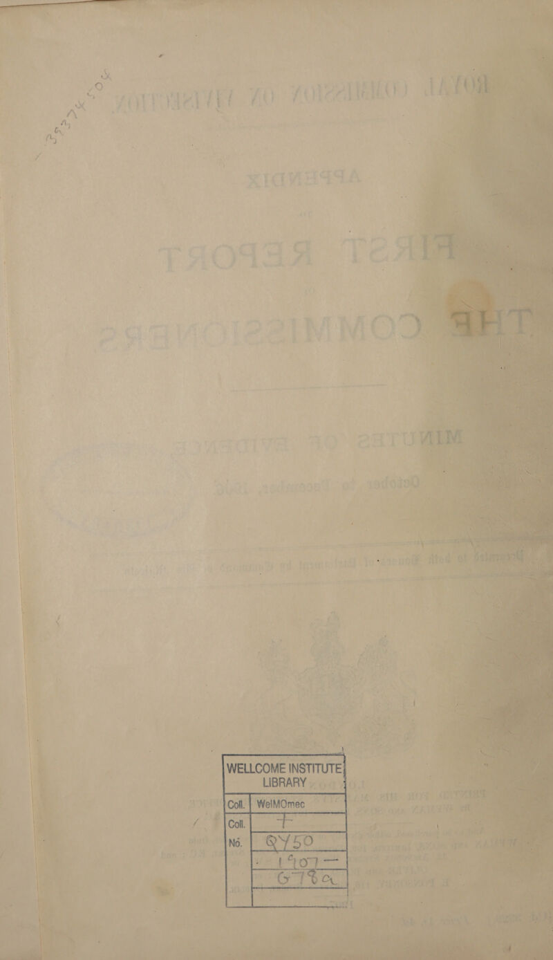   ca   S BP) ta ¥ 3 ¥ * an Ore ELIE. 10. COLAND URIS Py” . «ia 4 &gt; a i ! “ ae eee a &lt;a Tee TH 58 % “J % 24-4 i } ~ a. ai : ee nnn wv y =@ grin, of ¢ : ial : Ws Wire uc aed »,, \ e ~~ ¥ — 2 \ A, a F . 9 xalbe, i, | Mt : b “a si ‘ , Ps 4 ous n a ». * , ; ¥ “ % + ‘ ‘ { YJ yy AE re eat ju enc note Ce eee ey TIM