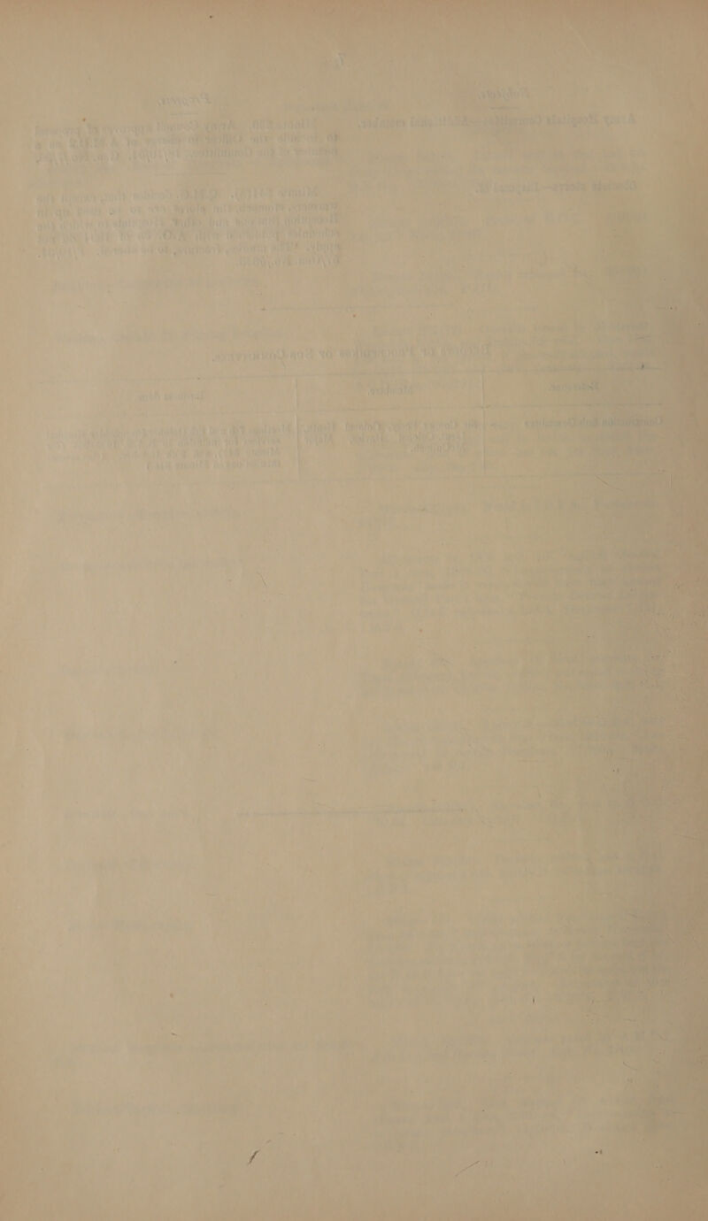  aT A SAN AU!         : px 3 q  Wi +7 i i ys li WO} - ua an ned aang.  ’ ae RU A Ay 7 ot Dany ath ts ee e - Man WL si i atte Vo i a\y\ of Bd, BOY abrititnte 7) any. ee , bade. edit vs aa Hacer idly shook Canna yey aint Mar yk uae it Cit Bik ah Oe OC RTT Ail eatrero TF erik ‘ cia ok { rb ait cot) Bik Btu ny} 1, LTR , ce AGS Hy Fe OO Hite ahi eatin | Sen ich) ae i . rp Syek\> aes See OE raiart ys OnE Te F rh ag es ie t 180,64 DN : : pa ee > 2 aad = . ] * 4          : a + in ‘ i aes mg art anivrty mow auel 1 abyfraniye: 1G ‘t 10 a3 iy) i ae ' r My ior , bi on - hice “ee a + ey oath a 2 ss . . | “7 t ' aT fond y ent aa : “y? ') aA a; ‘ AY a Gk a tng FY A > fate i ft Nive ie ae te fedlor ey er a Vf 7h: ‘aU > i | “tial if Hvitt TOR anaielos OtOy na, uta rail / ' fue) ! 3 be yiiel j TOAUD He ‘ ru avs, * : Tt 4) eit t ' t } \ Oy be he \ ¢ 1 + co : a ¥ » : t a. * , * i ss F vt ' LJ ‘ ~ on F ’ ‘ ie f \ gee ee eh eee 5 ee va ek ~ ¥ teem spol Nemgline ie kes ay cowie Nn aaron eh ea eee mv he ay, °