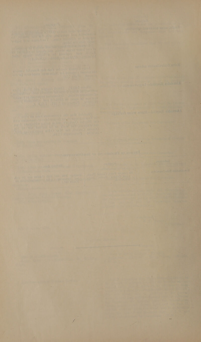                            AX 2) ant ' ~ . fees oa: pies ie, i * pa . ¢ aed it: mt Ate be ‘eA eo a tah (are ‘on 4 5 oF t 7 a? + ¢ i . ars be, ¢ set Fa PW Oi L a? BY AWS rope wigo he ey oe ; ey =k &amp; wee io Trqreti h i t ily 4) iw laid He a) tele i wat mi 1 _ tel dais if Qt , wh. #  i tee et ar PARR eee hy TR ants Me t : ‘ Wie: aldo wana Pati at it | ey OP. Dante ; oe at hoe .LORS wore ae i] ra fain fay ‘ ¥ Gy) ite ai’? + , ST pO AER ae ON REN a JEP ‘ . ven lh COR eee BRB! Ve nity ip yuTA acy ' oy fare he “hh Dawrcarer Bok nh a. U : , er, My) Re ko a nt ' ¢ i deaths i = he ae a Panne’: oil : ; i Sliltvés “SEU ee | Vora? Lieies oh ep ‘ eve 4Od Hero (Pa let tres 4 s hia aan ) f : a 4 Tite ee ti pA} 1) Mates ' te _ ALLL, ig) oe ‘ a eS f Mit ‘ i ieF L he ae Bana Ua ' ‘ : \ ; 1a ; reyes ‘Tae? Pvt ARS Ay y i ehe ty u vt Bd “a \Ne ~ f oe ! : 7 : a ‘ “* = fved sda), bobtrowk satarh ikaw Overs % Of Sein’ rose hat nm Li : j * tpt yevrer ata het WAV? a a ‘ hae P . bai hate, a Haro Oh: IO RNR: Sie ns “tee! Pile aa | ihe } . 4 viet if - War tT y “yh . : } pi? } Wis ‘HET AToitite ai ih : TEA : ] : hry ge ’ ‘ At nostro» OVS } ~~ ee ‘te r ‘ per * ad tz al tig ad ee ~~ 4 ‘s Whar’ seus Vb WEE with a 2% op pe eiiate tre TO CEC TAR eS - oon Aaya =\: x = ? at cup iF apo sai ae ; i ay: | vs i : if) Pn F% onl nahh att q ‘* rou.ce. sip i hl eRe + ¢ ‘atl ; I) Sais sich , = pene ‘0 } ip Dee Ae : my Aiea f : (Cites Gre ie i ai ; x ‘3 7 MY * » ’ an —< ee _ oe H f ) ri e adhe inca ointment reer rl Ty  ay gyno naar niall aA ME TOT” 