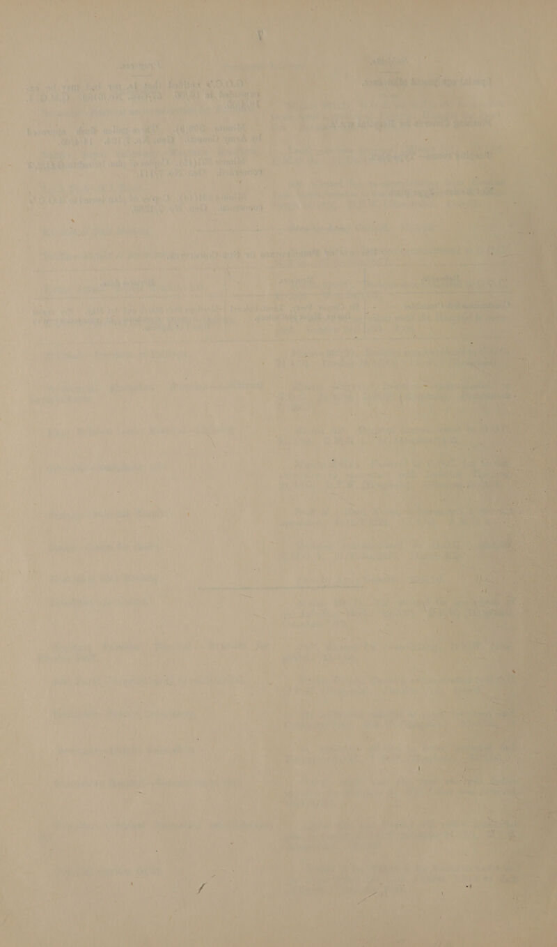                  7. _ La 4 $e -- é of A a ay wy V @ * . oe rere ae es | al (Sad fathiad wO0.8 b.! Hai rl ut. y¥i, ath, iN tt sh th ‘ « “' ' ; ' ee haraurta oe etcol fap, ae (a AOR cdot ies wot ib 201 Poe nts | eek Wisa) a ull i) : ' - b, i od ) ty > fie: AA = Bl ' Alay iw Ay a @ ligt. ¢ Aa ny ’ : :  a he. revo ‘ ; Mw  ‘ ¢ * H da Toteeqel ~ . PAO ar tesenet cailey Toke 08 EER peer Be ne sia te | ERIN oPe et? | heey” ue ‘ ‘tate [Bans ie) ad gs % . ! ; 4 : li acide er akit ‘a +i : Gareak Abt oO. i ae 4ESSPOR Shree mh ' iinet se8 va < Ot ~~ f 9 A ip) ea t J . } i ; : tte e - - ’ ~ Soe i« ¥ 1 (ee Aa et hie Mast ALCAN YN bec nee va \ : _\ es r pas » ‘ ’ i ¥ ; ; OUR, HPS uae PURE) ed eo i 4 ot wi ak 4 i Pi : 4 , “rap A is P + | fs slot \ eek iL ik to s ‘ay sat aa \! ise A. Dan tl     i ee ; ve We AA y Dik: anh 4 Rl as   a