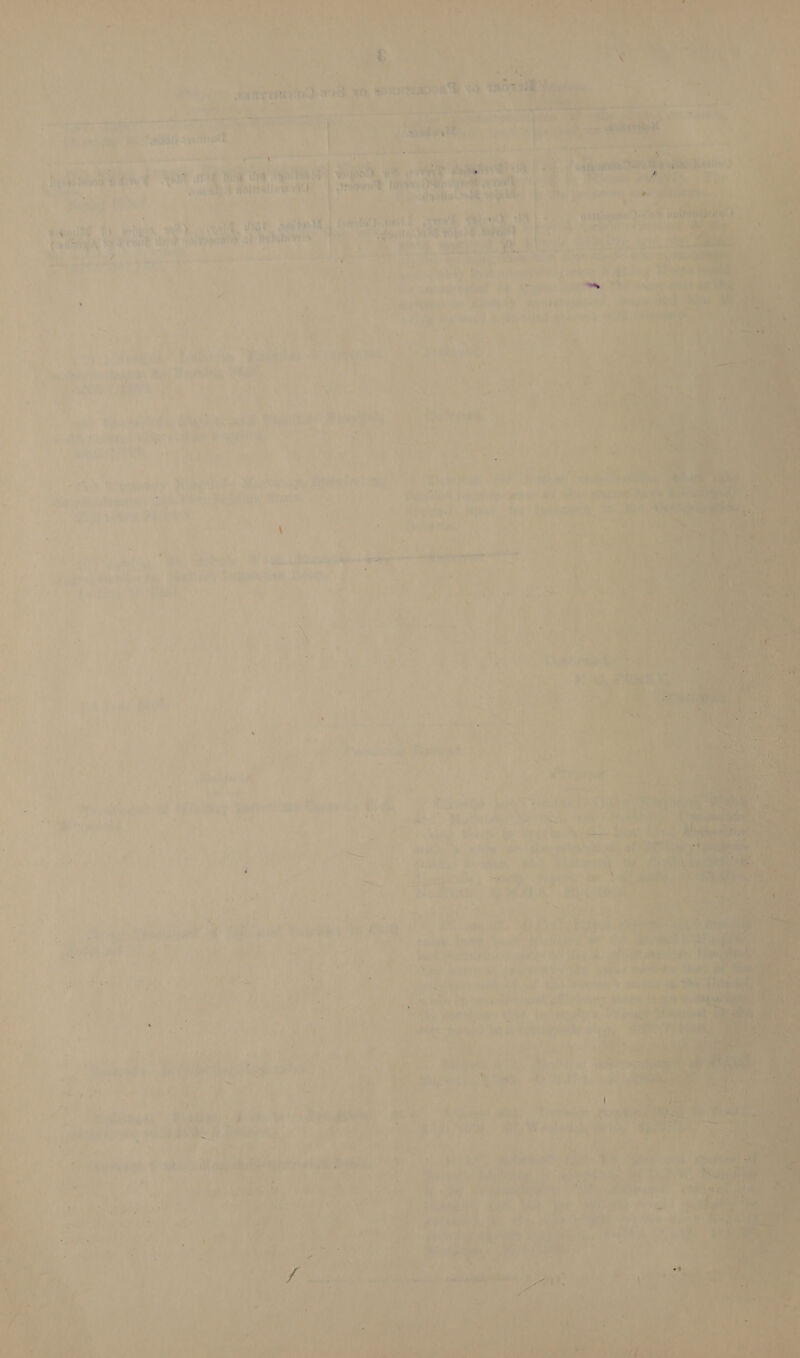          ae “20h sxc ol ny ‘ Rea ae W HF] Be Hage Teco Wat . wit WU Lites ay bie . j t    + He Lica Re eagur T) * Lae yy walk. é Colmga 'g Tewe i ot dohaeang ok Pobilyst! y ial of : : ca ee Seta A Ate: a sa . wf eno He hy ry. ae  a “id ; ‘tat, Ri ’ Th ee SHA Be iar ? We pM ‘! > Aca ” ” hh ¥ f ; t i aiag'y hy ed qa aa or ‘ ft s A om + \bee i “ty 7 nae ; { La ‘ mi # mm , : 1 1 7, ; ) > ‘ J 7 Sy “* ‘ { yee , , y } 3 i f | J Pr 4 @ Yy ¥ ; agi? . : S ogres a By i) of winesayaeh f oety ane gant ee t ‘a, wed vy rhino ephies | weal? Fay \ ly ro oan F et led P fhm «degre nen. cela oem é ti i ‘ ov >» of * PA * 4 ’ ’ \ p . ~ ' * ( if ri f 3 ‘ Py § - ‘ F . j i ~ i 3 “ b +1 ia ~ c A oe i) ' »# i ; : ‘ pee Oh) ; nae . ‘ i re x 2.0.) ae ee | Bae : ‘ = } 7 > J rhe. ¥ <g 6 eons 52 “i sy nO Boab =| ies. tile ‘ Y 5 a AB gs , ae Ss AEG. se i ‘ ve ‘ i o \ f i) 7 ? y “Pp WD > y . Bs. ‘ Ars) . i , ; ' ¥ if f i, ' ie 4 . R 1 ' ‘ » re | ‘ ' aie Hy 7 oe 4 iy y A i ‘ 5 Gg % ‘ he ~ \ ; fe Peps i G ¥y it ) Ag fis ane ee ‘A ¥ + Ryspnbetals: WK ivi Li vad 44 i 7 ii By i 4   ; ; b : ee ih f yest: Baty, sok iis ei x :