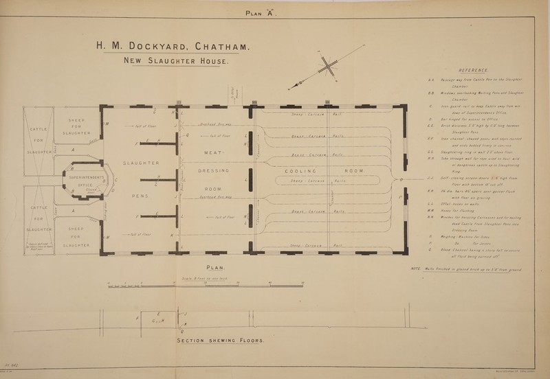 P/. 642. Berl, tier   PLAN.   Suntli= al?  SSA UIC TER:      reé ee     Gate y      \     \ \ r | \ i ‘ Ves ”? : U4 4 \ fe ter _¢. ‘ \ SUPERINTENDENTS o— a 0 JERICES = fa wn oa . Glazed — NYS door. — 1 \ \ i \ 7 \ CATTLE Je / \ | FE A t r i) f ‘ : ms OURS i t x t \ / \ i i SLAUGHTER ! cf yi ; \ H y Space defined —\ joy these lines to have\ Roof over \     \ \ )   Sliding door    SHnhle ie z OR Se ANG Mees FR.                    fe OF igor Sle U-Gir GER  Pre NS. _LOverhead Run-way._ Teh      Oa OOK Sheep - Carcase        Blood Channel/. i   WoT      30 : |            | oi - S a oe PN ss \ L NV 7 SS , a | : \j oat yy Ment S ests, Cheech Cactasel ier / sh) ee eee ae teas | / k/ ne : - st Sy se > 2 = 7 ar if 5 . 7 a . i ess ’ DIR Ep SNe O10 tI NAG ROOM. b ( DCE P = OLA Se en hse ) ; SS ee ee eee zl { Bee a if ROOM. « j | _&amp; Se ee ee Overhead Run-way. 8 p SN ss : = ; i Pes a Winter a Pip eg a ee iy) 8 ee Blast = Cancasie) ||| PRavls: L Sop ee Se oe eee <— fall of Floor. N 3 a ea        Sheep - Carcas e        40  50    GyoH SS eae Q    REE ied ce A.A, Passage way from Cattle Pen to the Slaughter Chamber. B.B. Windows over/ooking Waiting Pens and Slaughter Chamber. G /ron guard-rail to keep Cattle away ‘rom win- dows of Superintendent's Office. Dd. Bar hinged for access to Office. EVE. Brick divisions 5:0 high by 1.0 long between Slaughter Pens. Pak. Jron channel- shaped posts with edges rounded and ends bedded firmly in concrete 6.6. Slaughtering-ring in wall 2.0 above floor. H. Ht. Jube through wall for rope used to hau/ wild or dangerous cattle up to S/aughtering Ring. ee) Se/f- closing screen-doors §.6 high From Floor with bottom 18° cut off. kk. Ye diz. bars 4/2 apart over gutter flush with Floor as grating. YE k Offal-hooks on walls. MM. Hoses for Flushing N.N. Winches tor hoisting Carcasses and for hauling dead Cattle from Slaughter Pens into Dressing Room Weighing -Machine for Sides. iP)  Do. for Joints. Blood- Channel having 2 sharp fall to ensure all Fluid being cared off. NOTE. Walls Finished in glazed brick up to 5/0° from ground. 