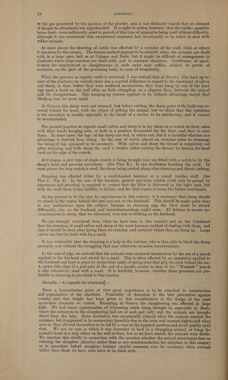 or the gas generated by the ignition of the powder, and it was distinctly stated that no element of danger to attendants was apprehended. It is right to notice, however, that the cattle—possibly home-bred—were sufficiently quiet to permit of this type of apparatus being used without difficulty, although it was mentioned that exceptional measures had occasionally to be taken to deal with wilder animals. At some places the shooting of cattle was effected by a member of the staff, while at others it was done by the owners. The former method appears to be suitable when the animals are dealt with in a large open hall as at Cologne and Basle, but it might be difficult of arrangement in abattoirs where large numbers are dealt with, and in separate chambers. Certificates of quali- fication for employment as slaughtermen in such cases may suffice, subject to power of exclusion, on the part of the governing body, in cases of irregularity. While the practice as regards cattle is universal, it was noticed that at Geneva (the least up-to- date of the abattoirs we visited) there was a marked difference in regard to the treatment of calves and sheep, in that, before they were rendered unconscious, they were hung by one of the hind legs upon a hook on the wall after no little struggling, on a slippery floor, between the animal and the slaughterman. This hanging-up process appears to be without advantage except that bleeding may be more rapid. ees At Geneva also sheep were not stunned, but before cutting, the sharp point of the knife was in- serted behind the head, with the object of pithing the animal, but we think that this operation is too uncertain in results, especially in the hands of a novice, to be satisfactory, and it cannot be recommended. The general practice as regards small calves and sheep is to lay them on a crutch on their sides with their heads hanging over, or held in a position favourable for the blow, and then to stun them. In some cases, the legs of the sheep are tied, in others not, but it is doubtful whether any advantage is derived from tieing. In the case of calves placed on crutches prior to stunning, the tieing of legs appeared to be necessary. With calves and sheep the throat is completely cut after stunning, and with sheep the neck is broken (after cutting the throat) by forcing the head back on the edge of the crutch. At Cologne, a new type of single crutch is being brought into use fitted with a notch to fix the sheep’s head and prevent movement. (See Plan H.) It also facilitates breaking the neck. In most places the long crutch is used, the sheep being pushed along after stunning and throat cutting. Stunning was effected either by a small-headed hammer or a round wooden staff. (See Plan C., Fig. 4). In the case of the hammer, greater precision (which could only be gained by experience and practice) 1s required to ensure that the blow is delivered in the right spot, but with the staff there is less liability to failure, and for that reason it seems the better instrument. As has proved to be the case by experiments in this country, it is necessary that sheep should be struck in the region behind the ears and.not on the forehead. This should be made quite clear in any instructions upon the subject, because in stunning pigs the blow must be struck differently, viz., on the forehead, and misunderstandings might arise. All failures to secure un- consciousness in sheep, that we witnessed, were due to striking on the forehead. We are strongly convinced from what we have seen in this country and on the Continent that the stunning of small calves and sheep is the most humane method of dealing with them, and that it should be done after laying them on crutches, and certainly before they are hung up. Large calves can best be dealt with by a mask. It was noticeable that the stunning is a help to the butcher, who is then able to bleed the sheep promptly and without the struggling that may otherwise occasion inconvenience. In the case of pigs, we noticed that the animals were rendered unconscious by the use of a punch applied to the forehead and struck by a maul. This is often effected by an apparatus applied to the forehead and kept in place by projections made of spring steel that grip the neck behind the ear. A cutter (like that of a poll-axe) at the end of a handle similar to that of the “ Wackett ” punch is also extensively used with a maul. It is doubtful, however, whether these processes are pre- ferable to stunning as practised in this country. Secondly.—As regards the abattoirs::— From a humanitarian point of view great importance is to be attached to construction and organisation of the abattoirs. Possibility of detection is the best preventive against cruelty, and due weight has been given to this consideration in the design of the most up-to-date abattoirs we visited. Excepting at Geneva the slaughtering was effected in large halls. We had many opportunities of witnessing cattle being brought in, especially at Basle, where the entrances to the slaughtering hall are at each end only, and the animals are brought direct from the lairs. Some hesitation was occasionally evinced when the animals reached the entrance, but it appeared to be momentary (possibly due to the noise and unusual sights) and when pnee in, they allowed themselves to be led by a rope to the required position and stood quietly until shot. | We saw no case in which it was necessary to haul in a struggling animal, or bring the animal’s head to a ring either on the wall or floor, but as we have stated, the animals were docile. We mention this chiefly in connection with the question whether the animal experiences fear on entering the slaughter chamber rather than as any recommendation for adoption in this country as to procedure befoxe slaughter, because special measures may be necessary when animals wilder than those we have seen have to be dealt with. 