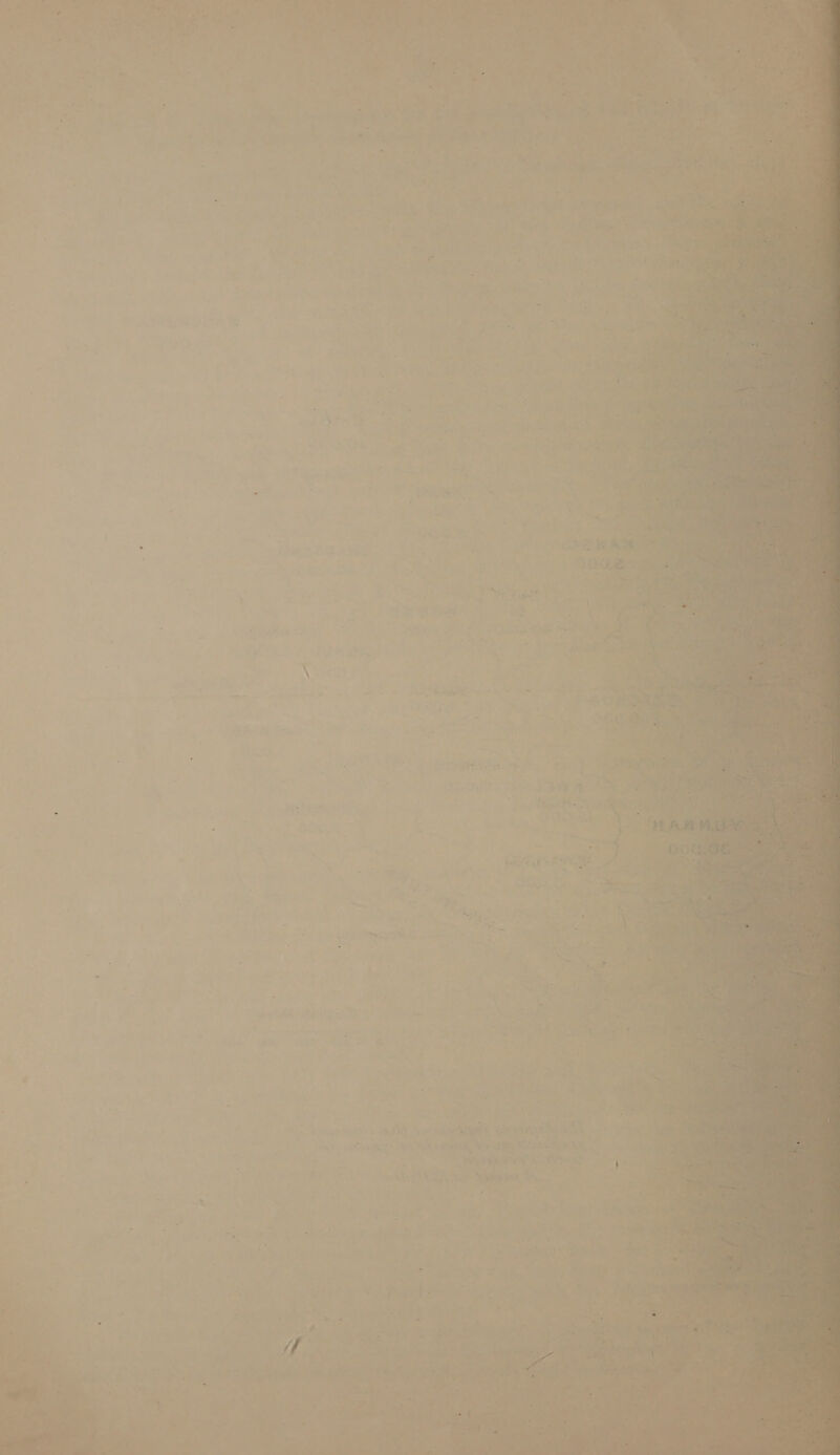   . - seal Ou ol i @ he We \ are y*). Ap meer edeainatSs att . - Sh TSS sgh, ho dey ean sn: (aSA ey — a ae ties ig < Zahn ho sh ceahcihele : no 2 ee . ¢ oe) M pcg