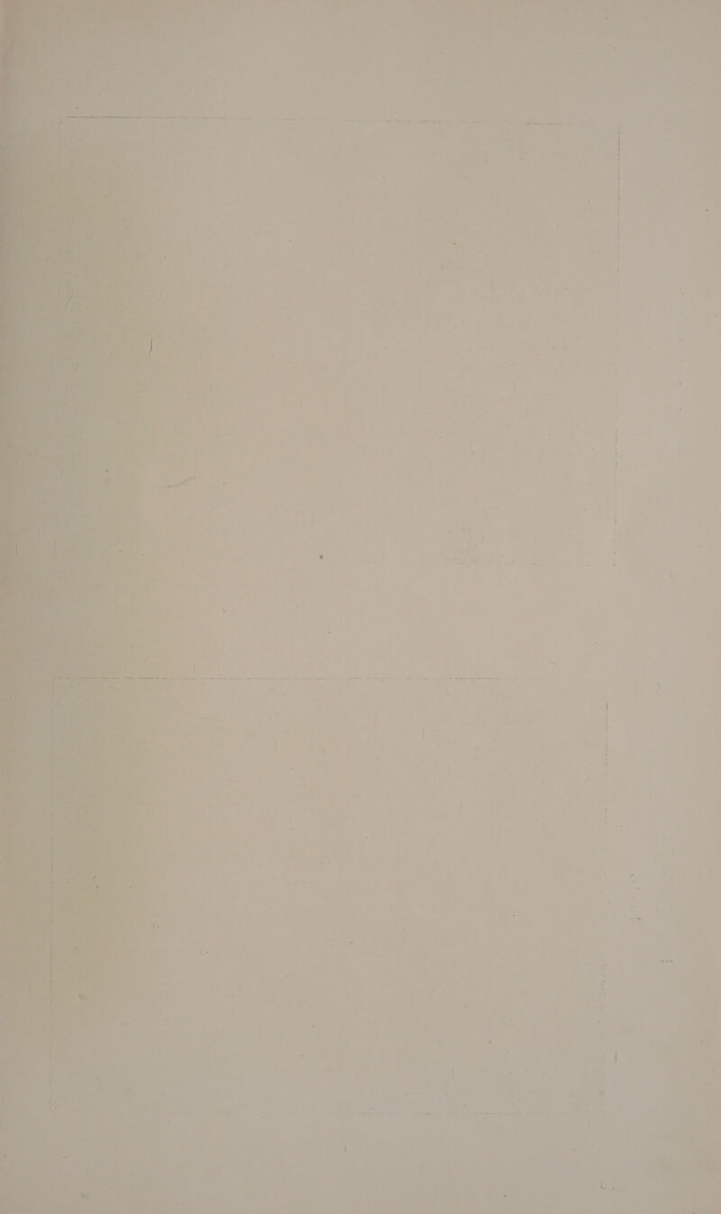   + ta tees ee tee Sia lilionk bist barn kee baste wal eats Hoe ele ee weer te am ee et pee ate eet   y * ’ ‘ L ’ ~ ? ; : — 4 a7 \ ‘ 4 s sf : ea Nh ' ‘ ad ; - i . 4 Mi ¥ ‘ i: . - » ®7 ew _ . Ee