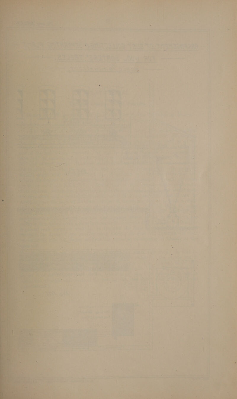 _ : , 7 * + = ‘ vs - , ' s ‘ a + Ps , a J i 4 A y < > vw) ° . ie ; -- “ . . f : e J = «“ ° te “ 7 wd) > ; J SO Mo ~~ - OP OO rn iy ~ ‘ “ a4 4 ys . 7 at ud i. ~e - Patiala:  ee he die, A eee i a oe 4 il) i: aan eae maaliatititions - a= sg mill ane - Fee fe S := é ree. Yi at tay aa . a) { /t -! \ - ee d ” ' \e ’ J ( oars lies “ —— a y a < ‘ yah » ; Ve r weet : en ‘ es “ i £ - . , ; ‘ - > t , . © « a 4 > * ¥ t 7 “ 2 ah : r * ” . ; - - ~, I ’ ’ i-_- a . 3 . « =] 4 « i q . eta 5 J i | ie | j a ° V 4 . : : = ‘ ~ Bee, < Be * : eae “ iY ‘ . ’ % a < ‘ ane Ves ) Se . : 2 ' ¢  : if 5 : . f ‘ . | ¥ j : re,  ee  F fhe ee 2 . i - - — f. + 4 ¥ > ‘ 2. Re b, ; + ad ~ - = { ; > on od ¥ . 4 os t. > al 7 3 re Ea ar x 4 7 a q le os) rah | « “ * mot vege re J yx ar) * - . # EB y*- 7 - < ia he a =a = _—  >. ' . ee Ps 3 al weer Qe ape! we 5 . : . fy ~~ b os ap % ar = of ate *   etd am a a ger’ . ee = = he a ge amet mentee’ tt ee) re 1