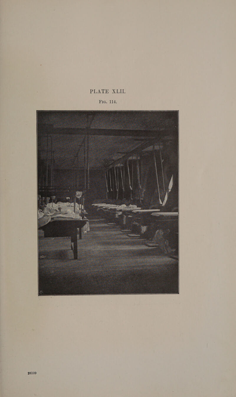 Lessee Le pli: FIG  28109