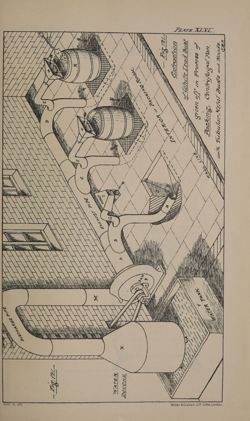  at foie Ta é , WW . wey Sea \\ or SS SW \ \ . \ Wy NY \ \ NY y WSS \ NA NEA VA REN AN Ni WS SARS ANY   