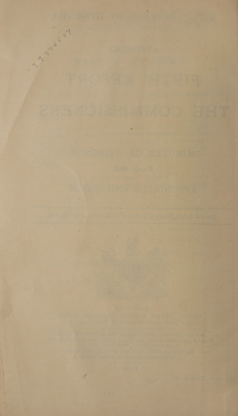         « oie   &lt;% &gt; pene 2: = a a “s t Pe a ty ; , tt ie alt Cbg a : Sash te, Sake Vac te 1 a See Fy &lt;a f ipy Nes CAN eB er nme? is? Be ‘bial 4 i x ad ie te Aes icine an Lit sy be ie aeiges