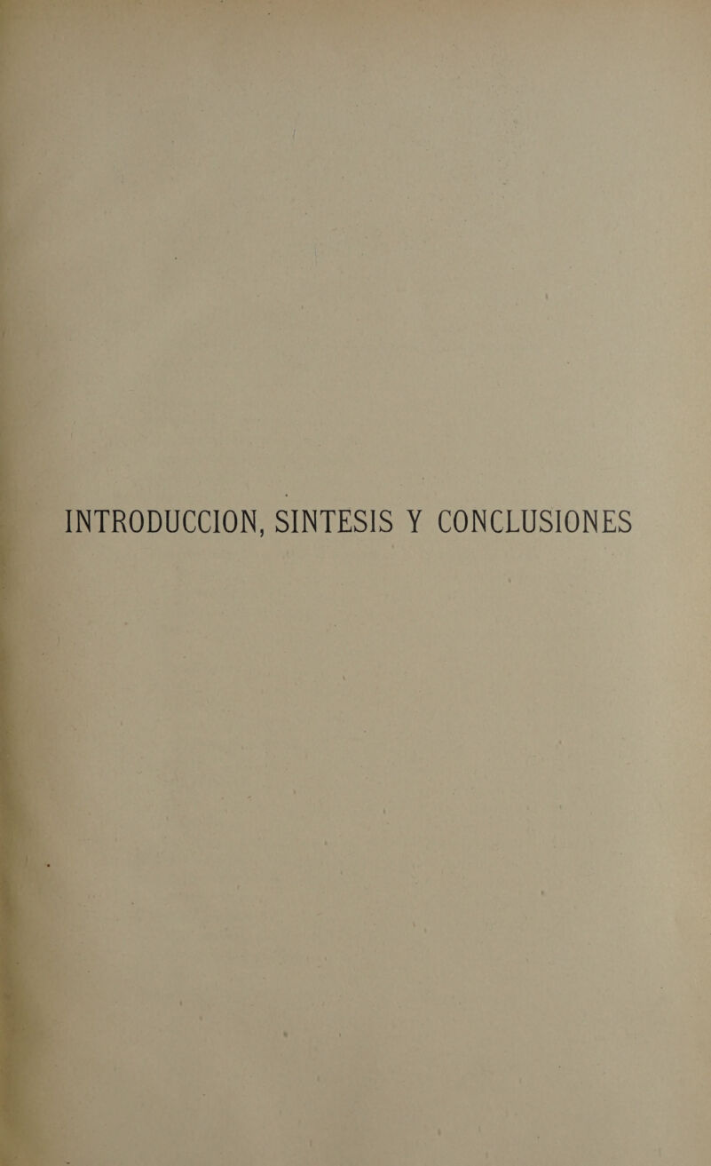 p - a wAs AREA, AN  INTRODUCCION, SINTESIS Y CONCLUSIONES A / ' . 6 1] z ' ' r he - o ' le + ' ” 1] p p LES . 3 ' * pl ' Ñ o. 4 k A 1? y cd » Nu , é DAMA > ' 