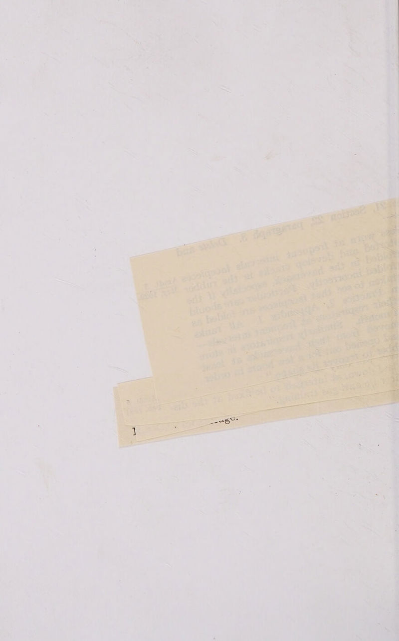 - ‘ pa loms . aii * i © «) , G = * | ry ™~ j : w it ( “7 - \ if ~ my r d * . « y , - \ * >— = * . 4 ‘ ~s, . i fs ‘ ‘ t y y we \ i a San roe o | Tt OA hs oe ta (ances hon) iF