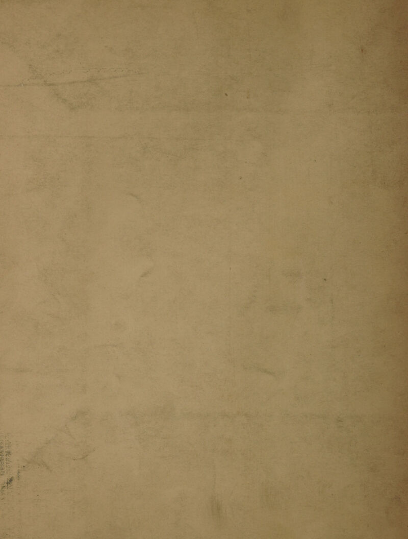  + tt # Pag he eme Sr vus    je  EL ae : 