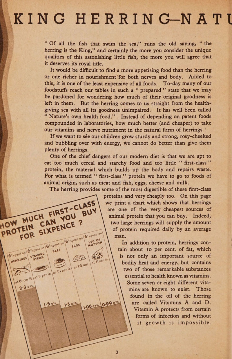 i le y m Py M.; Fe KING HERRINGNATI “ Of all the fish that swim the sea,” runs the old saying, “ the herring is the King,” and certainly the more you consider the unique qualities of this astonishing little fish, the more you will agree that it deserves its royal title. It would be difficult to find a more appetising food than the herring or one richer in nourishment ‘for both nerves and body. Added to this, it is one of the least expensive of all foods. To-day many of our foodstuffs reach our tables in such a “‘ prepared ’’ state that we may be pardoned for wondering how much of their original goodness is left in them. But the herring comes to us straight from the health- giving sea with all its goodness unimpaired. It has well been called | “* Nature’s own health food.’? Instead of depending on patent foods compounded in laboratories, how much better (and cheaper) to take our vitamins and nerve nutriment in the natural form of herrings ! If we want to sée our children grow sturdy and strong, rosy-cheeked and bubbling over with energy, we cannot do better than give them plenty of herrings. One of the chief dangers of our modern diet is that we are apt to eat too much cereal and starchy food and too little “‘ first-class ”’ protein, the material which builds up the body and repairs waste. For what is termed ‘“ first-class’ protein we have to go to foods of animal origin, such as meat and fish, eggs, cheese and milk. The herring provides some of the most digestible of these first-class proteins and very cheaply too. On this page we print a chart which shows that herrings are one of the very cheapest sources of animal protein that you can buy. Indeed, two large herrings will supply the amount of protein required daily by an average man. In addition to protein, herrings con- tain about ro per cent. of fat, which is not only an important source of bodily heat and energy, but contains two of those remarkable substances éssential to health known as vitamins. Some seven or eight different vita- mins are known to exist. Those found in the oil of the herring are called Vitamins A and D. Vitamin A protects from certain forms of infection and without it growth is impossible.                                    