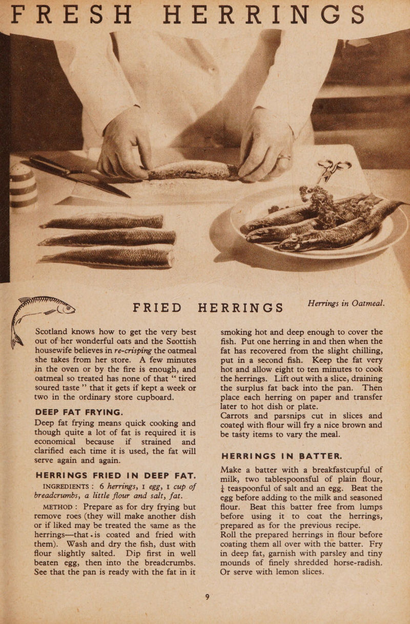 Scotland knows how to get the very best out of her wonderful oats and the Seottish housewife believes in re-crisping the oatmeal she takes from her store. A few minutes in the oven or by the fire is enough, and oatmeal so treated has none of that “‘ tired soured taste ”’ that it gets if kept a week or two in the ordinary store cupboard, DEEP FAT FRYING. Deep fat frying means quick cooking and though quite a lot of fat is required it is economical because if strained and clarified each time it is used, the fat will serve again and again. HERRINGS FRIED IN DEEP FAT. INGREDIENTS : 6 herrings, 1 egg, 1 cup of breadcrumbs, a little flour and salt, fat. METHOD: Prepare as for dry frying but remove roes (they will make another dish or if liked may be treated the same as the herrings—that.is coated and fried with them). Wash and dry the fish, dust with flour slightly salted. Dip first in well beaten egg, then into the breadcrumbs. See that the pan is ready with the fat in it Herrings in Oatmeal. smoking hot and deep enough to cover the fish. Put one herring in and then when the fat has recovered from the slight chilling, put in a second fish. Keep the fat very hot and allow eight to ten minutes to cook the herrings. Lift out with a slice, draining the surplus fat back into the pan. Then place each herring on paper and transfer later to hot dish or plate. Carrots and parsnips cut in slices and coated with flour will fry a nice brown and be tasty items to vary the meal. HERRINGS IN BATTER. Make a batter with a breakfastcupful of milk, two tablespoonsful of plain flour, } teaspoonful of salt and an egg. Beat the egg before adding to the milk and seasoned flour. Beat this batter free from lumps before using it to coat the herrings, prepared as for the previous recipe. Roll the prepared herrings in flour before coating them all over with the batter. Fry in deep fat, garnish with parsley and tiny mounds of finely shredded horse-radish. Or serve with lemon slices.