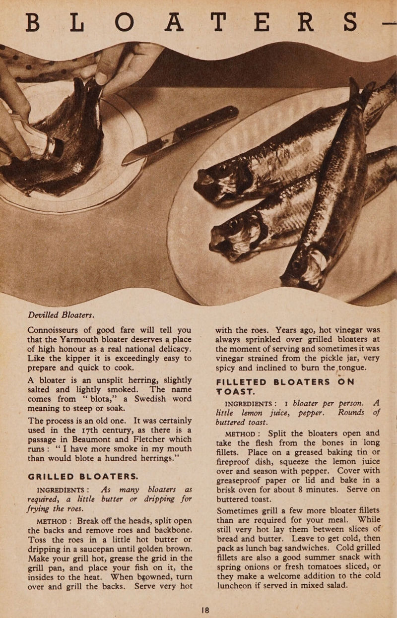 Devilled Bloaters. Connoisseurs of good fare will tell you that the Yarmouth bloater deserves a place of high honour as a real national delicacy. Like the kipper it is exceedingly easy to prepare and quick to cook. A bloater is an unsplit herring, slightly salted and lightly smoked. The name comes from ‘“ blota,’? a Swedish word meaning to steep or soak. The process is an old one. It was certainly used in the 17th century, as there is a passage in Beaumont and Fletcher which runs: ‘‘I have more smoke in my mouth than would blote a hundred herrings.” GRILLED BLOATERS. INGREDIENTS: As many bloaters as required, a little butter or dripping for frying the roes. METHOD : Break off the heads, split open the backs and remove roes and backbone. Toss the roes in a little hot butter or dripping in a saucepan until golden brown. Make your grill hot, grease the grid in the grill pan, and place your fish on it, the insides to the heat. When bgowned, turn over and grill the backs. Serve very hot 18  INGREDIENTS : little lemon jutce, buttered toast. METHOD: Split the bloaters open and take the flesh from the bones in long fillets. Place on a greased baking tin or fireproof dish, squeeze the lemon juice over and season with pepper. Cover with greaseproof paper or lid and bake in a brisk oven for about 8 minutes. Serve on buttered toast. Sometimes grill a few more bloater fillets than are required for your meal. While still very hot lay them between slices of bread and butter. Leave to get cold, then pack as lunch bag sandwiches. Cold grilled fillets are also a good summer snack with spring onions or fresh tomatoes sliced, or they make a welcome addition to the cold luncheon if served in mixed salad. 1 bloater per person. A pepper. Rounds of