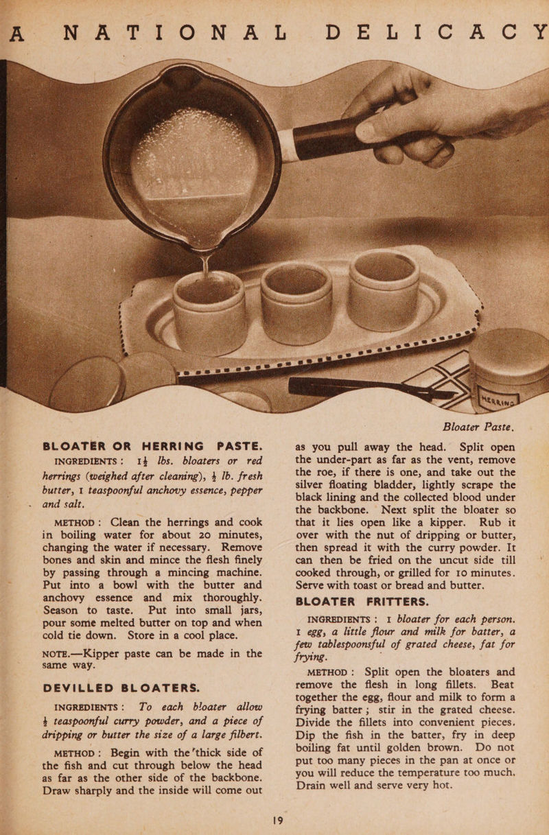 INGREDIENTS: 14 Ibs. bloaters or red herrings (weighed after cleaning), 4 1b. fresh butter, 1 teaspoonful anchovy essence, pepper and salt, METHOD: Clean the herrings and cook in boiling water for about 20 minutes, changing the water if necessary. Remove bones and skin and mince the flesh finely by passing through a mincing machine. Put into a bowl with the butter and anchovy essence and mix thoroughly. Season to taste. Put into small jars, pour some melted butter on top and when cold tie down. Store in a cool place. NOTE.—Kipper paste can be made in the same way. DEVILLED BLOATERS. INGREDIENTS: To each bloater allow 4 teaspoonful curry powder, and a piece of dripping or butter the size of a large filbert. METHOD: Begin with the'thick side of the fish and cut through below the head as far as the other side of the backbone. Draw sharply and the inside will come out  Bloater Paste, the under-part as far as the vent, remove the roe, if there is one, and take out the silver floating bladder, lightly scrape the black lining and the collected blood under the backbone. Next split the bloater so that it lies open like a kipper. Rub it over with the nut of dripping or butter, then spread it with the curry powder. It can then be fried on the uncut side till cooked through, or grilled for 10 minutes. Serve with toast or bread and butter. BLOATER FRITTERS. INGREDIENTS : I bloater for each person. 1 egg, a little flour and milk for batter, a few tablespoonsful of grated cheese, fat for frying. METHOD: Split open the bloaters and remove the flesh in long fillets. Beat together the egg, flour and milk to form a frying batter; stir in the grated cheese. Divide the fillets into convenient pieces. Dip the fish in the batter, fry in deep boiling fat until golden brown. Do not put too many pieces in the pan at once or you will reduce the temperature too much. Drain well and serve very hot. 