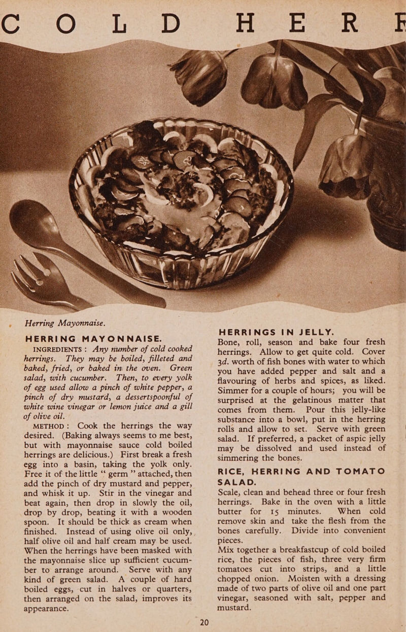 HERRING MAYONNAISE. INGREDIENTS : Any number of cold cooked herrings. They may be boiled, filleted and baked, fried, or baked im the oven. Green salad, with cucumber. Then, to every yolk of egg used allow a pinch of white pepper, a pinch of dry mustard, a dessertspoonful of white wine vinegar or lemon juice and a gill of olive ail. METHOD: Cook the herrings the way desired. (Baking always seems to me best, but with mayonnaise sauce cold boiled herrings are delicious.) First break a fresh egg into a basin, taking the yolk only. Free it of the little “‘ germ ”’ attached, then add the pinch of dry mustard and pepper, and whisk it up. Stir in the vinegar and beat again, then drop in slowly the oil, drop by drop, beating it with a wooden spoon. It should be thick as cream when finished. Instead of using olive oil only, half olive oil and half cream may be used. When the herrings have been masked with the mayonnaise slice up sufficient cucum- ber to arrange around. Serve with any kind of green salad. A couple of hard boiled eggs, cut in halves or quarters, then arranged on the salad, improves its appearance. 20 HERRINGS IN JELLY. Bone, roll, season and bake four fresh herrings. Allow to get quite cold. Cover 3d. worth of fish bones with water to which you have added pepper and salt and a flavouring of herbs and spices, as liked. Simmer for a couple of hours; you will be surprised at the gelatinous matter that comes from them. Pour this jelly-like substance into a bowl, put in the herring rolls and allow to set. Serve with green salad. If preferred, a packet of aspic jelly may be dissolved and used instead of simmering the bones. RICE, HERRING AND TOMATO SALAD. Scale, clean and behead three or four fresh herrings. Bake in the oven with a little butter for 1I5 minutes. When cold remove skin and take the flesh from the bones carefully. Divide into convenient pieces. Mix together a breakfastcup of cold boiled rice, the pieces of fish, three very firm tomatoes cut into strips, and a little chopped onion. Moisten with a dressing made of two parts of olive oil and one part vinegar, seasoned with salt, pepper and mustard.