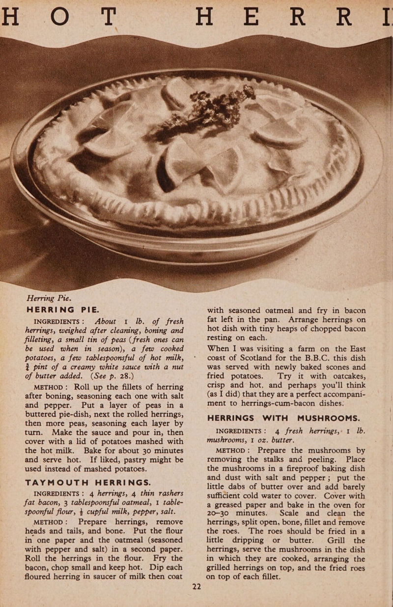 Herring Pie. HERRING PIE. INGREDIENTS: About 1 Ib. of fresh herrings, weighed after cleaning, boning and filleting, a small tin of peas (fresh ones can be used when in season), a few cooked potatoes, a few tablespoonsful of hot milk, 3 pint of a creamy white sauce with a nut of butter added. (See p. 28.) METHOD: Roll up the fillets of herring after boning, seasoning each one with salt and pepper. Put a layer of peas in a buttered pie-dish, next the rolled herrings, then more peas, seasoning each layer by turn. Make the sauce and pour in, then cover with a lid of potatoes mashed with the hot milk. Bake for about 30 minutes and serve hot. If liked, pastry might be used instead of mashed potatoes. TAYMOUTH HERRINGS. INGREDIENTS : 4 herrings, 4 thin rashers fat bacon, 3 tablespoonsful oatmeal, 1 table- spoonful flour, 4 cupful milk, pepper, salt. METHOD: Prepare herrings, remove heads and tails, and bone. Put the flour in one paper and the oatmeal (seasoned with pepper and salt) in a second paper. Roll the herrings in the flour. Fry the bacon, chop small and keep hot. Dip each floured herring in saucer of milk then coat fried potatoes. Try it with oatcakes, crisp and hot, and perhaps you’ll think (as I did) that they are a perfect accompani- ment to herrings-cum-bacon dishes. HERRINGS WITH MUSHROOMS. INGREDIENTS: 4 fresh herrings,» 1 lb. mushrooms, 1 oz. butter. METHOD: Prepare the mushrooms by removing the stalks and peeling. Place the mushrooms in a fireproof baking dish and dust with salt and pepper; put the little dabs of butter over and add barely sufficient cold water to cover. Cover with a greased paper and bake in the oven for 20-30 minutes. Scale and clean the herrings, split open, bone, fillet and remove the roes. The roes should be fried in a little dripping or butter. Grill the herrings, serve the mushrooms in the dish in which they are cooked, arranging the grilled herrings on top, and the fried roes on top of each fillet.