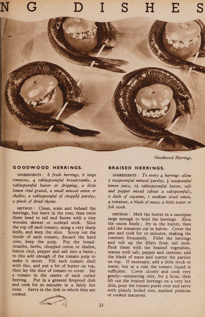 tomatoes, 4 tablespoonsful breadcrumbs, a tablespoonful butter or dripping, a little lemon rind grated, a small minced onion or shallot, a tablespoonful of chopped parsley, a pinch of dried thyme. herrings, but leave in the roes, then twist them head to tail and fasten with a tiny wooden skewer or cocktail stick. Slice the top off each tomato, using a very sharp knife, and keep the slice. Scoop out the inside of each tomato, discard the hard core, keep the pulp. Put the bread- crumbs, herbs, chopped onion or shallot, lemon rind, pepper and salt into a basin ; to this add enough of the tomato pulp to make it moist. Fill each: tomato shell with this, and put a bit of butter on top, then lay the slice of tomato to cover. Set a tomato in the centre of each curled herring. Put in a greased fireproof dish and cook for 20 minutes in a fairly hot oven. Serve in the dish in which they are cooked. . 2 teaspoonsful minced parsley, 4 teaspoonful lemon juice, 14 tablespoonsful butter, salt and pepper mixed (about a saltspoonful), a dash of cayenne, 1 medium sized onion, 4 tomatoes, a blade of mace, a little water or fish stock. METHOD: Melt the butter in a saucepan large enough to hold the herrings. Slice the onion finely ; fry in the butter, then add the tomatoes cut in halves. Cover the pan and cook for 10 minutes, shaking the contents frequently. Fillet the herrings and roll up the - fillets from tail ends. Pack them with the braised vegetables, season with salt, pepper and cayenne, add the blade of mace and scatter the parsley on top. If necessary, add a little stock or water, but as a rule the tomato liquid is sufficient. Cover closely and cook very gently—simmering only, for 4 hour, then lift out the braised herrings on a very hot dish, pour the tomato purée over and serve with plainly boiled rice, mashed potatoes or cooked macaroni.