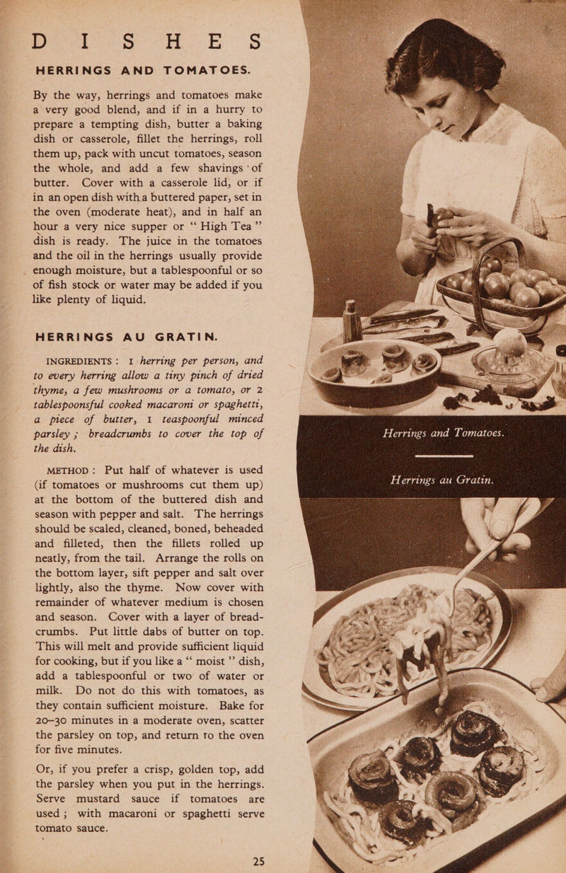 HERRINGS AND TOMATOES. By the way, herrings and tomatoes make a very good blend, and if in a hurry to prepare a tempting dish, butter a baking dish or casserole, fillet the herrings, roll them up, pack with uncut tomatoes, season the whole, and add a few shavings ‘of butter. Cover with a casserole lid, or if in an open dish witha buttered paper, set in the oven (moderate heat), and in half an hour a very nice supper or “ High Tea” dish is ready. The juice in the tomatoes and the oil in the herrings usually provide enough moisture, but a tablespoonful or so of fish stock or water may be added if you like plenty of liquid. HERRINGS AU GRATIN. INGREDIENTS: I herring per person, and to every herring allow a tiny pinch of dried thyme, a few mushrooms or a tomato, or 2 tablespoonsful cooked macaront or spaghettt, a piece of butter, 1 teaspoonful minced the dish. METHOD: Put half of whatever is used (if tomatoes or mushrooms cut them up) at the bottom of the buttered dish and season with pepper and salt. The herrings should be scaled, cleaned, boned, beheaded and filleted, then the fillets rolled up neatly, from the tail. Arrange the rolls on the bottom layer, sift pepper and salt over lightly, also the thyme. Now cover with remainder of whatever medium is chosen and season. Cover with a layer of bread- crumbs. Put little dabs of butter on top. This will melt and provide sufficient liquid for cooking, but if you like a “‘ moist ”’ dish, add a tablespoonful or two of water or milk. Do not do this with tomatoes, as they contain sufficient moisture. Bake for 20-30 minutes in a moderate oven, scatter the parsley on top, and return to the oven for five minutes. Or, if you prefer a crisp, golden top, add the parsley when you put in the herrings. Serve mustard sauce if tomatoes are used ; with macaroni or spaghetti serve tomato sauce.