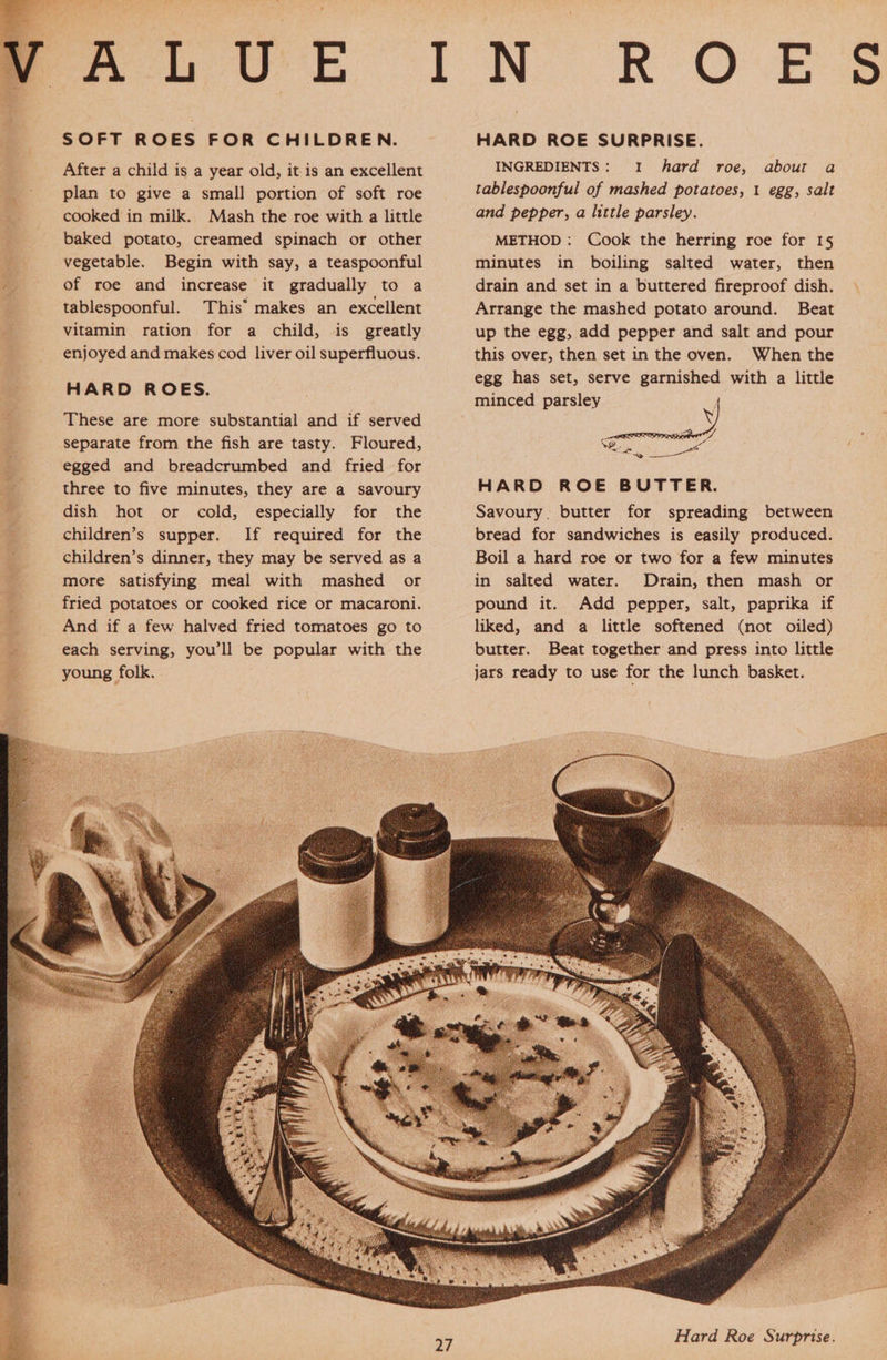 a. UE SOFT ROES FOR CHILDREN. After a child is a year old, itis an excellent plan to give a small portion of soft roe cooked in milk. Mash the roe with a little baked potato, creamed spinach or other vegetable. Begin with say, a teaspoonful of roe and increase it gradually to a tablespoonful. This’ makes an excellent vitamin ration for a child, is greatly enjoyed and makes cod liver oil superfluous. HARD ROES. These are more substantial and if served separate from the fish are tasty. Floured, egged and breadcrumbed and fried for three to five minutes, they are a savoury dish hot or cold, especially for the children’s supper. If required for the children’s dinner, they may be served as a more satisfying meal with mashed or fried potatoes or cooked rice or macaroni. And if a few halved fried tomatoes go to each serving, you'll be popular with the young folk. I NR OVE s@ HARD ROE SURPRISE. INGREDIENTS: I hard roe, about a tablespoonful of mashed potatoes, 1 egg, salt and pepper, a little parsley. METHOD: Cook the herring roe for 15 minutes in boiling salted water, then drain and set in a buttered fireproof dish. Arrange the mashed potato around. Beat up the egg, add pepper and salt and pour this over, then set in the oven. When the egg has set, serve garnished with a little minced parsley . eee ~ eee Ne er HARD ROE BUTTER. Savoury. butter for spreading between bread for sandwiches is easily produced. Boil a hard roe or two for a few minutes in salted water. Drain, then mash or pound it. Add pepper, salt, paprika if liked, and a little softened (not oiled) butter. Beat together and press into little jars ready to use for the lunch basket.