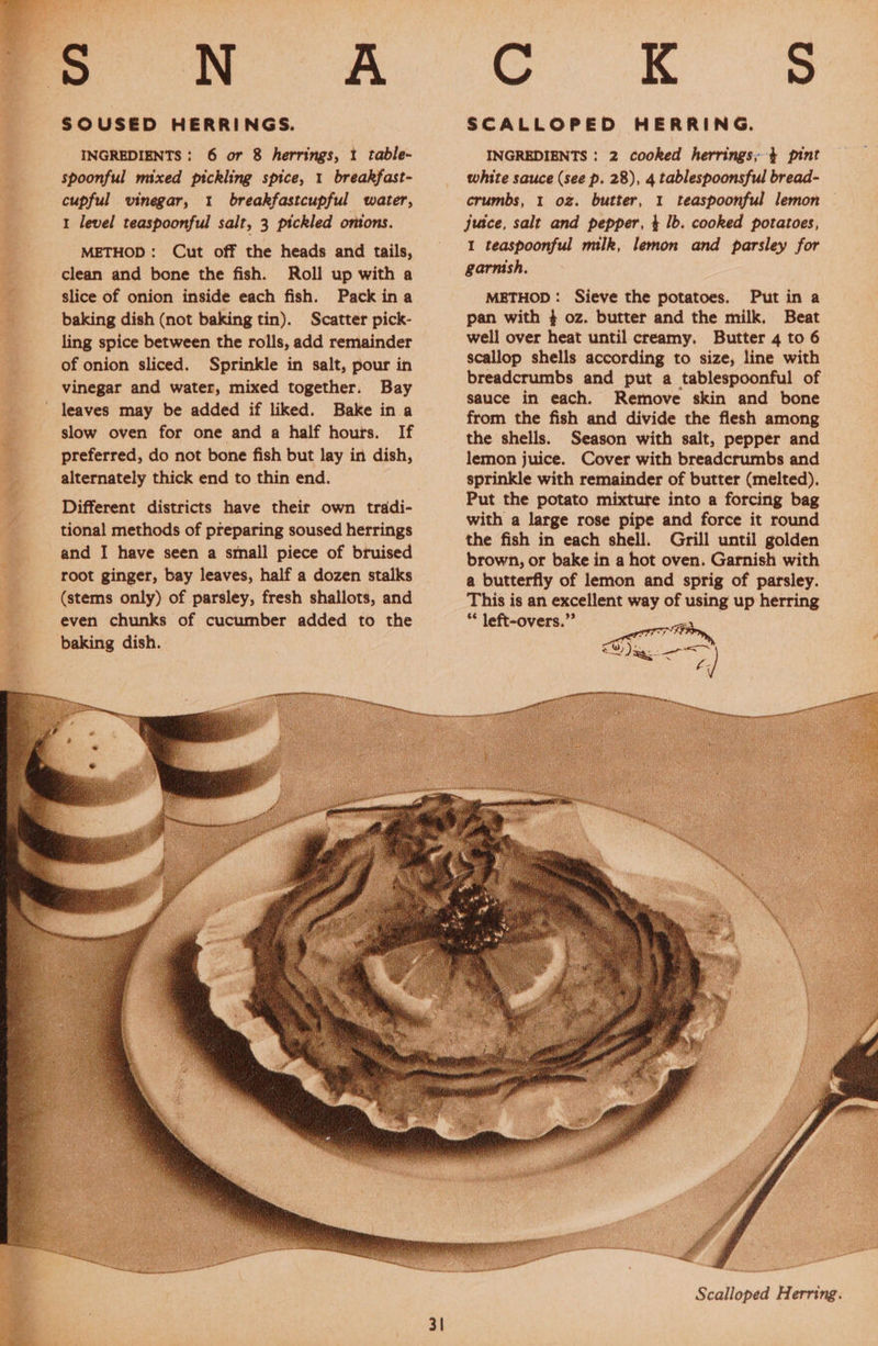 2 i a ee _ INGREDIENTS : 6 or 8 herrings, 1 tabdle- spoonful mixed pickling spice, 1 breakfast- cupful vinegar, 1 breakfastcupful water, 1 level teaspoonful salt, 3 pickled ontons. METHOD: Cut off the heads and tails, clean and bone the fish. Roll up with a slice of onion inside each fish. Pack ina baking dish (not baking tin). Scatter pick- ling spice between the rolls, add remainder of onion sliced. Sprinkle in salt, pour in vinegar and water, mixed together. Bay leaves may be added if liked. Bake in a slow oven for one and a half hours. If preferred, do not bone fish but lay in dish, alternately thick end to thin end. Different districts have their own tradi- tional methods of preparing soused herrings and I have seen a small piece of bruised root ginger, bay leaves, half a dozen stalks (stems only) of parsley, fresh shallots, and even chunks of cucumber added to the baking dish. INGREDIENTS : 2 cooked herrings, + pint white sauce (see p. 28), 4 tablespoonsful bread- crumbs, 1 oz. butter, 1 teaspoonful lemon juice, salt and pepper, + lb. cooked potatoes, 1 teaspoonful milk, lemon and parsley for garnish. METHOD: Sieve the potatoes. Put in a pan with } oz. butter and the milk, Beat well over heat until creamy. Butter 4 to 6 scallop shells according to size, line with breadcrumbs and put a tablespoonful of sauce in each. Remove skin and bone from the fish and divide the flesh among the shells. Season with salt, pepper and lemon juice. Cover with breadcrumbs and sprinkle with remainder of butter (melted). Put the potato mixture into a forcing bag with a large rose pipe and force it round the fish in each shell. Grill until golden brown, or bake in a hot oven. Garnish with a butterfly of lemon and sprig of parsley. This is an excellent way of using up herring ** left-overs.”” é = ens rate ~  ei Scalloped Herring.    