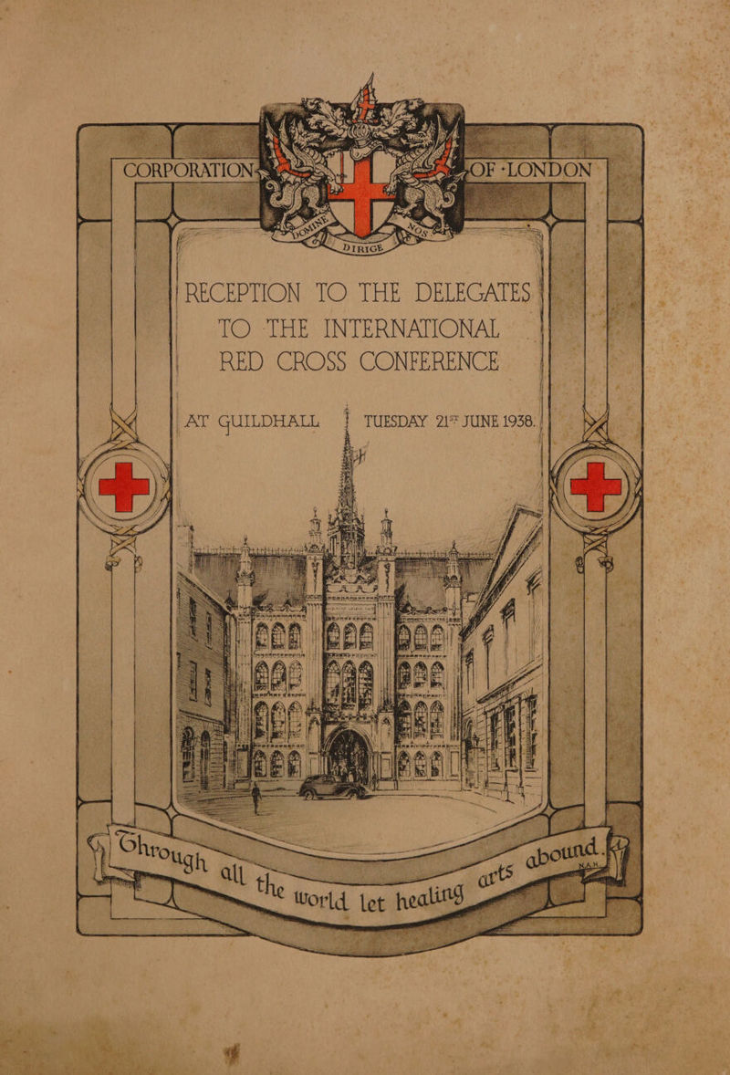 TO THE INTERNATIONAL RED CROSS CONFERENCE - :   